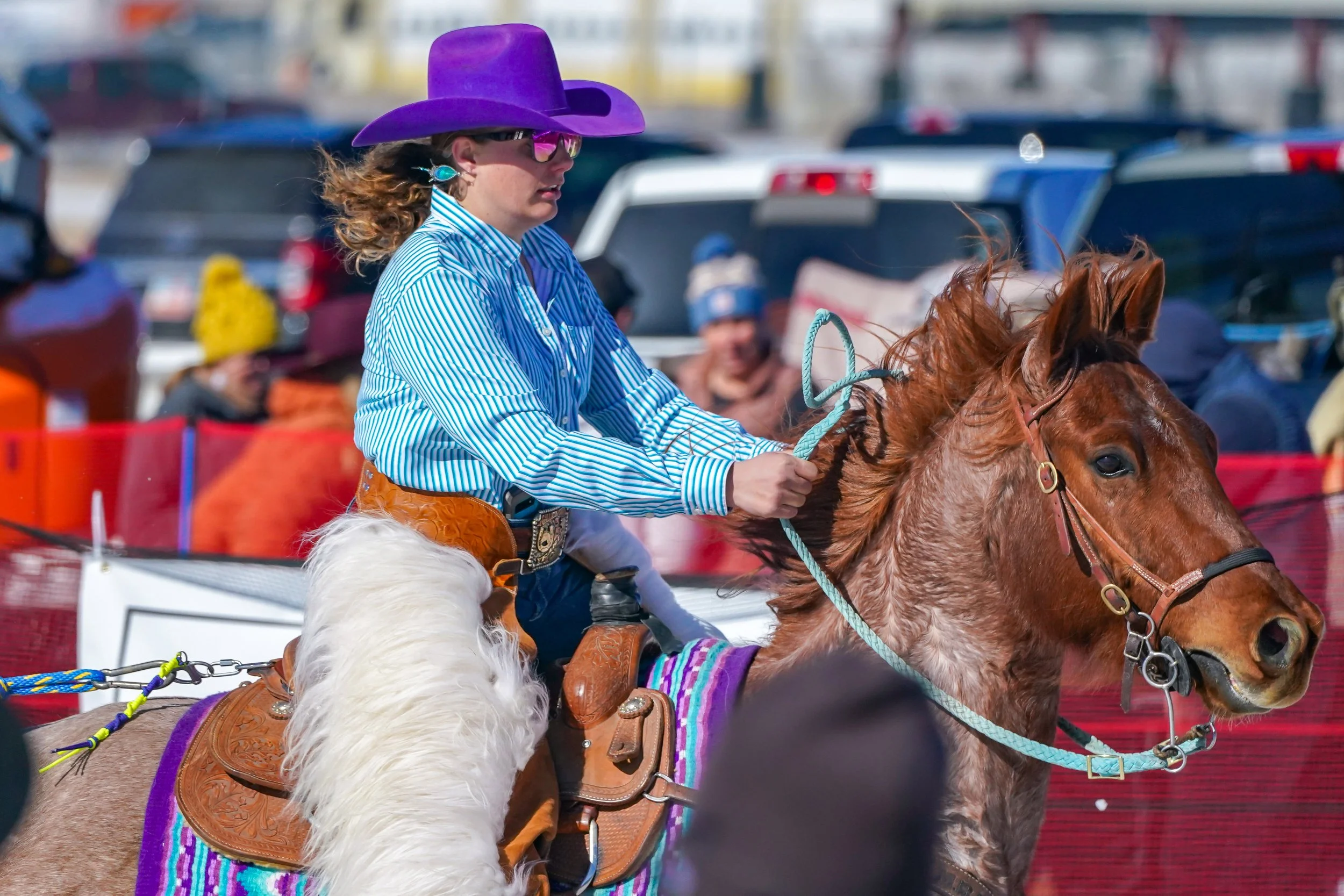 Loved the purple hat on this rider!