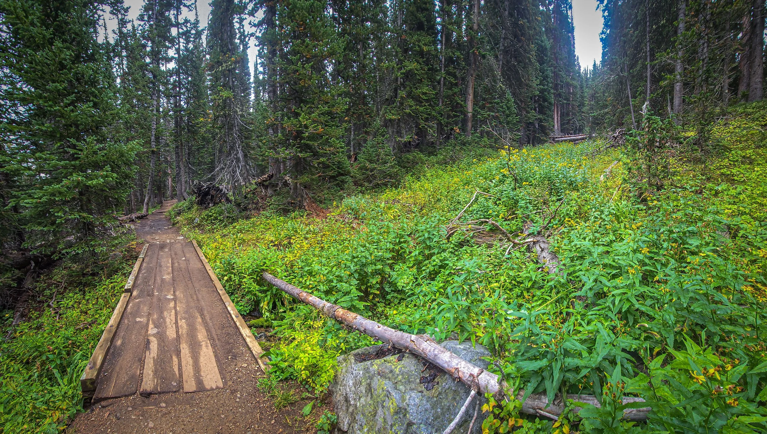A boardwalk to adventure!