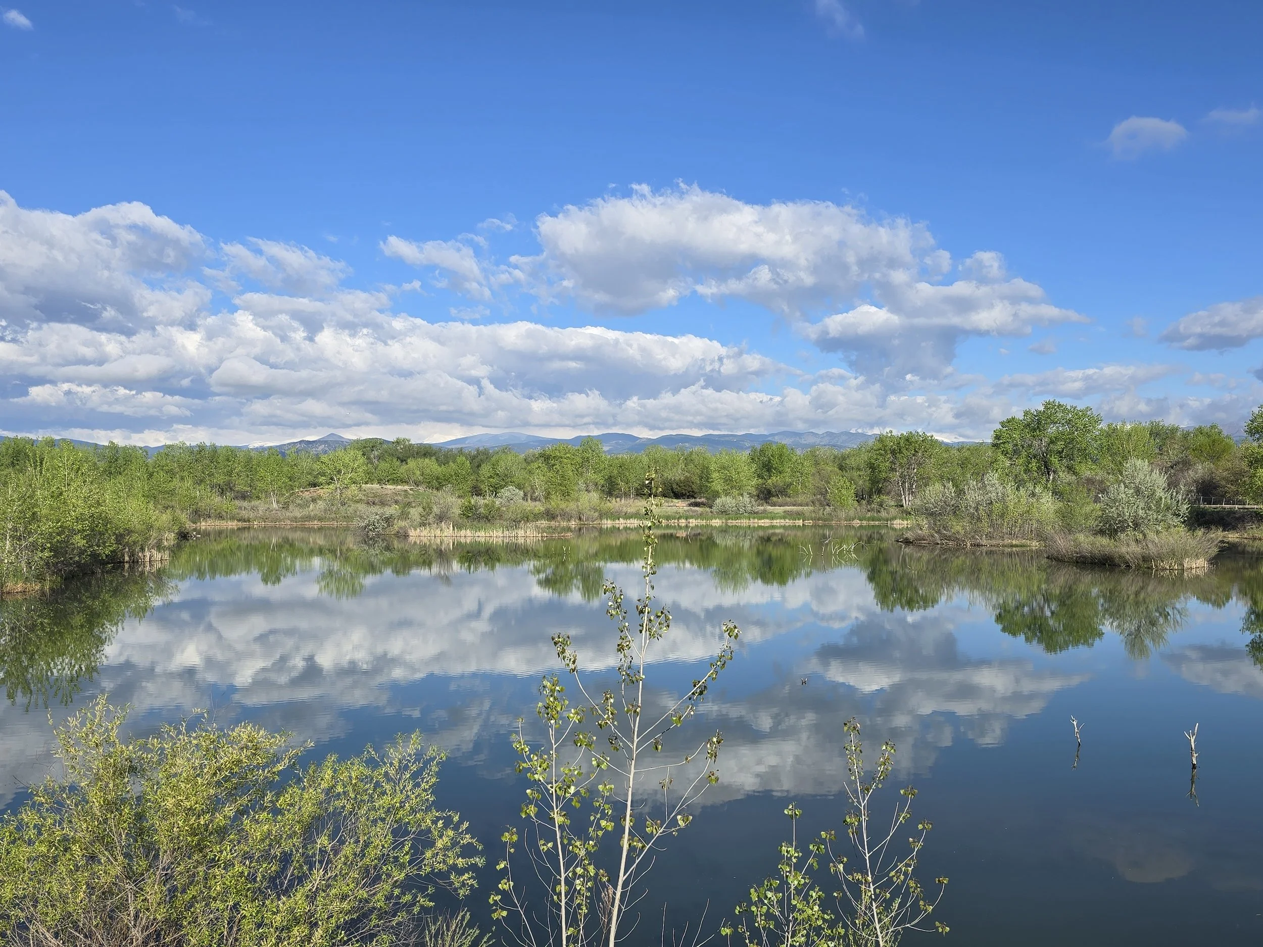 A beautiful view at Walden Ponds!