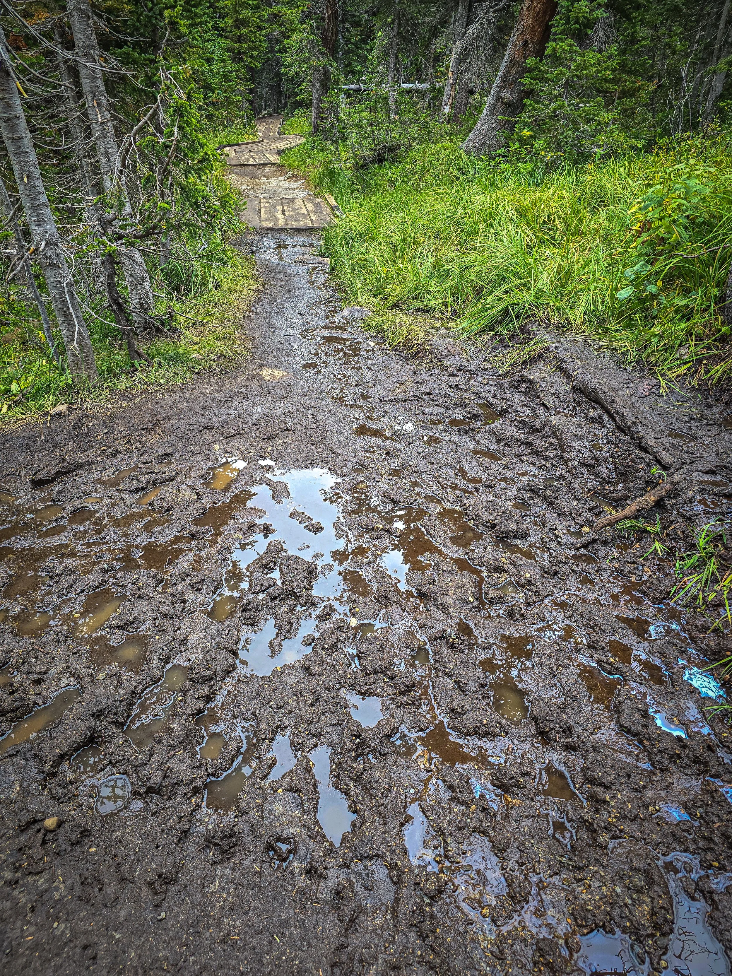 Some mud on the trail!