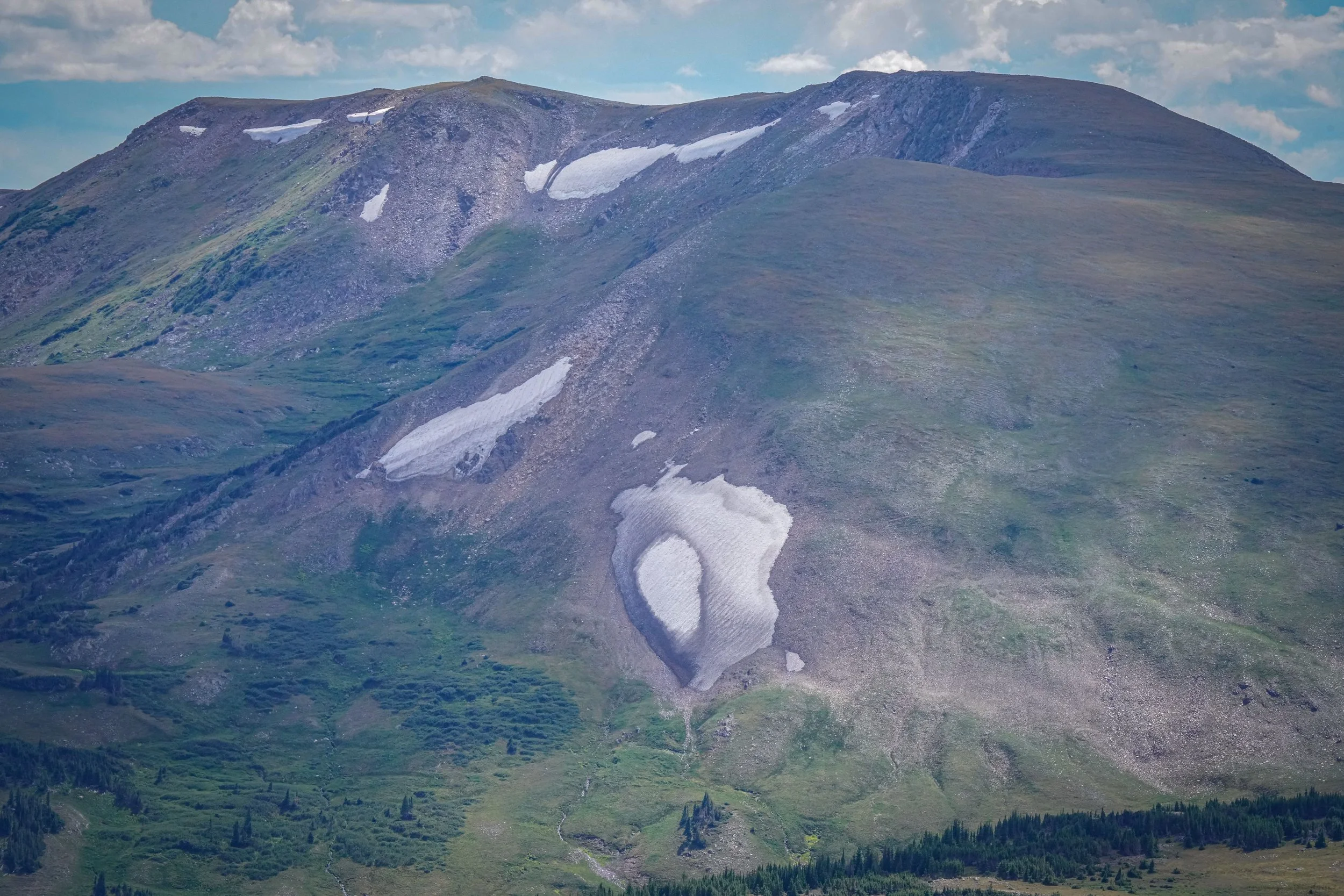 Snowfields