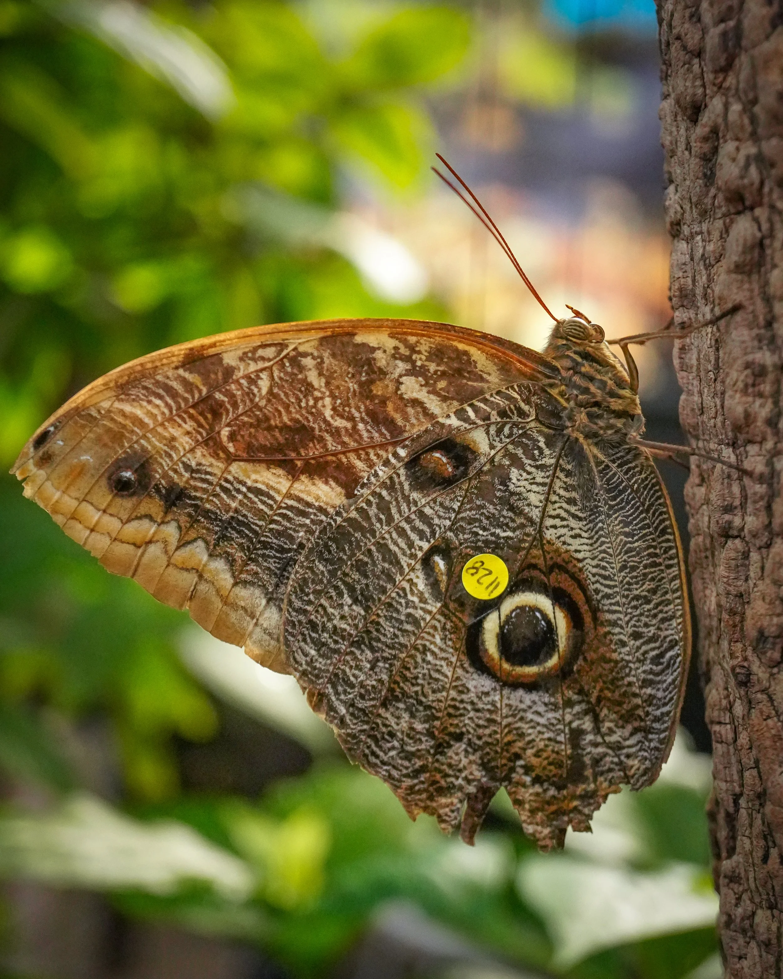 LNS04840.jpg