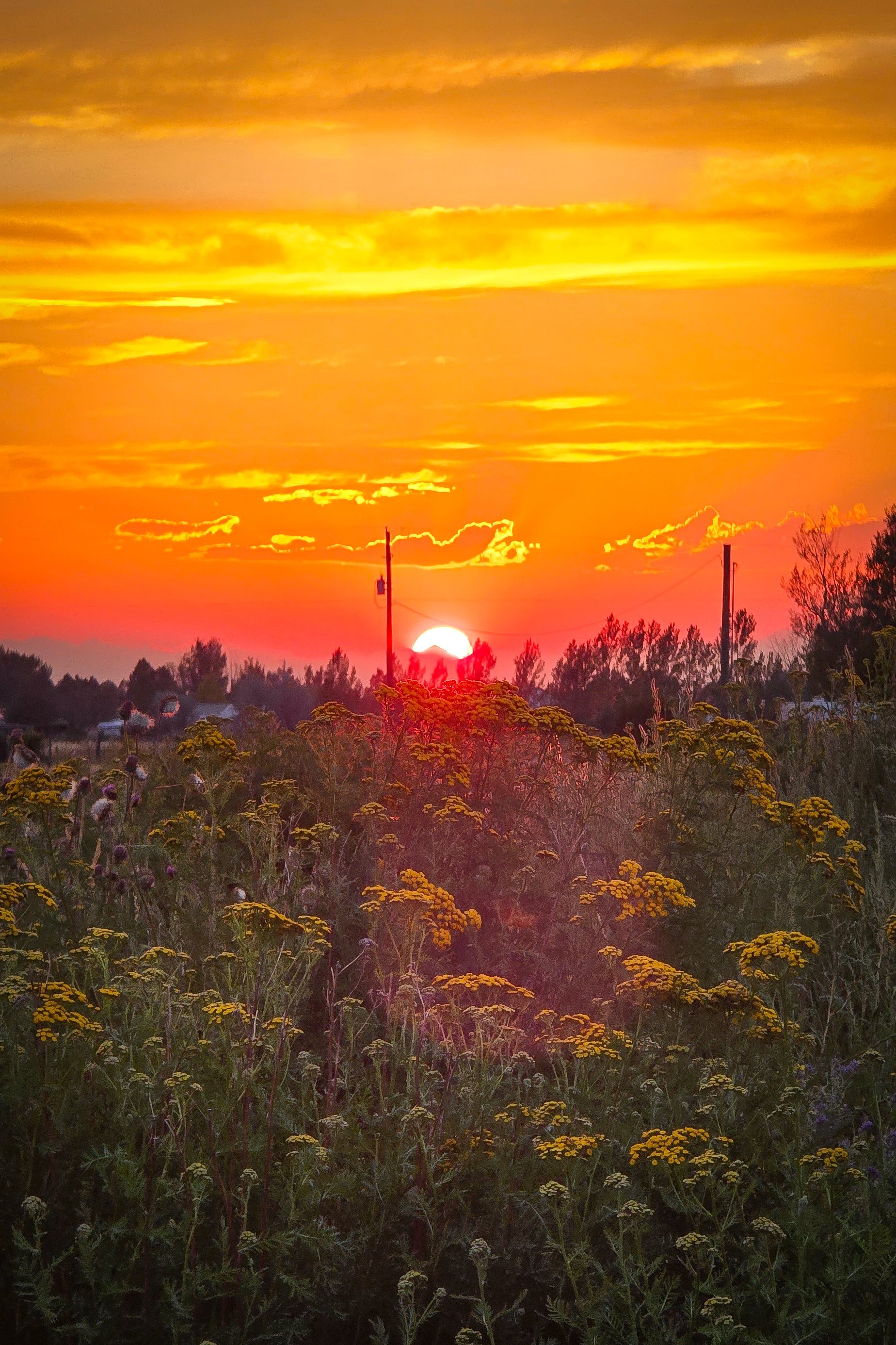 Another evening walk and a nice sunset