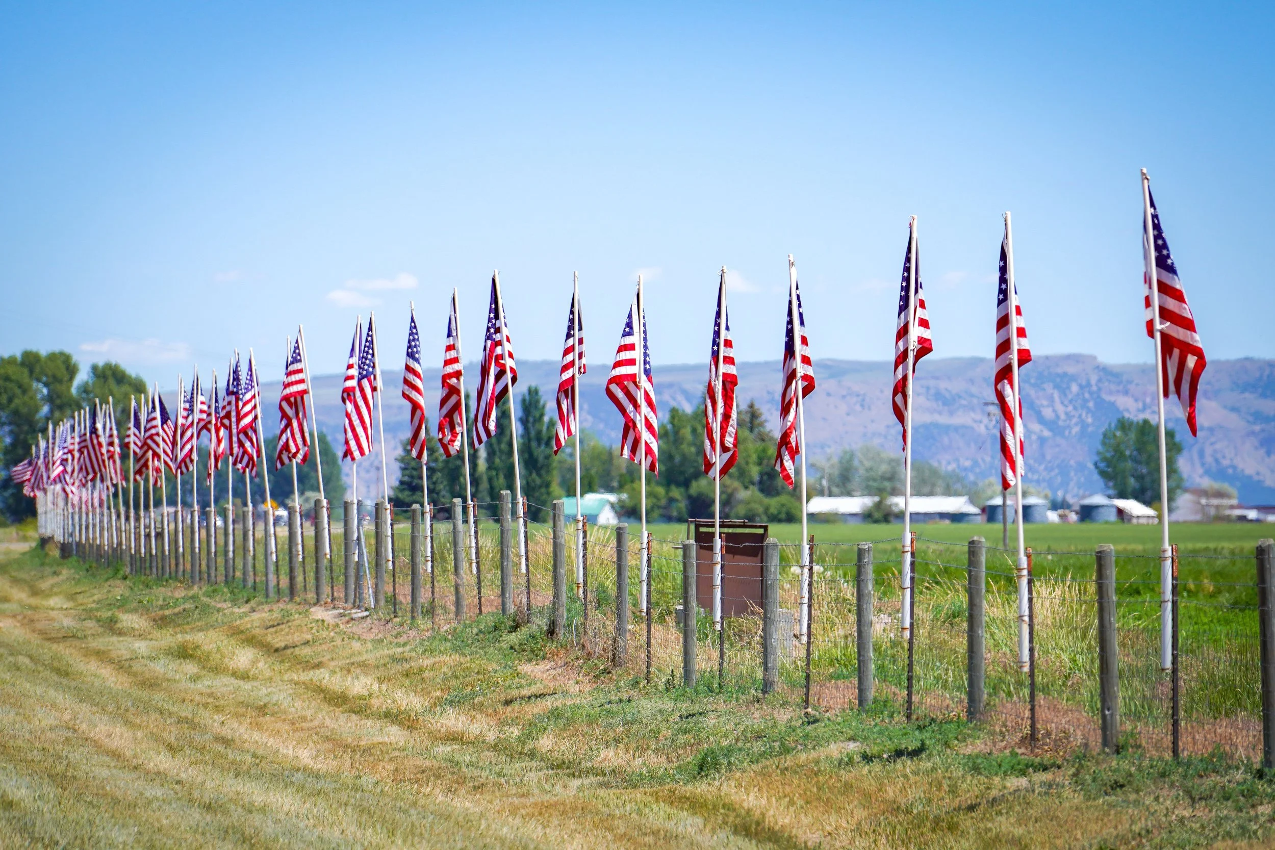 This guy put all these flags along his fence for both Flag Day and the 4th of July