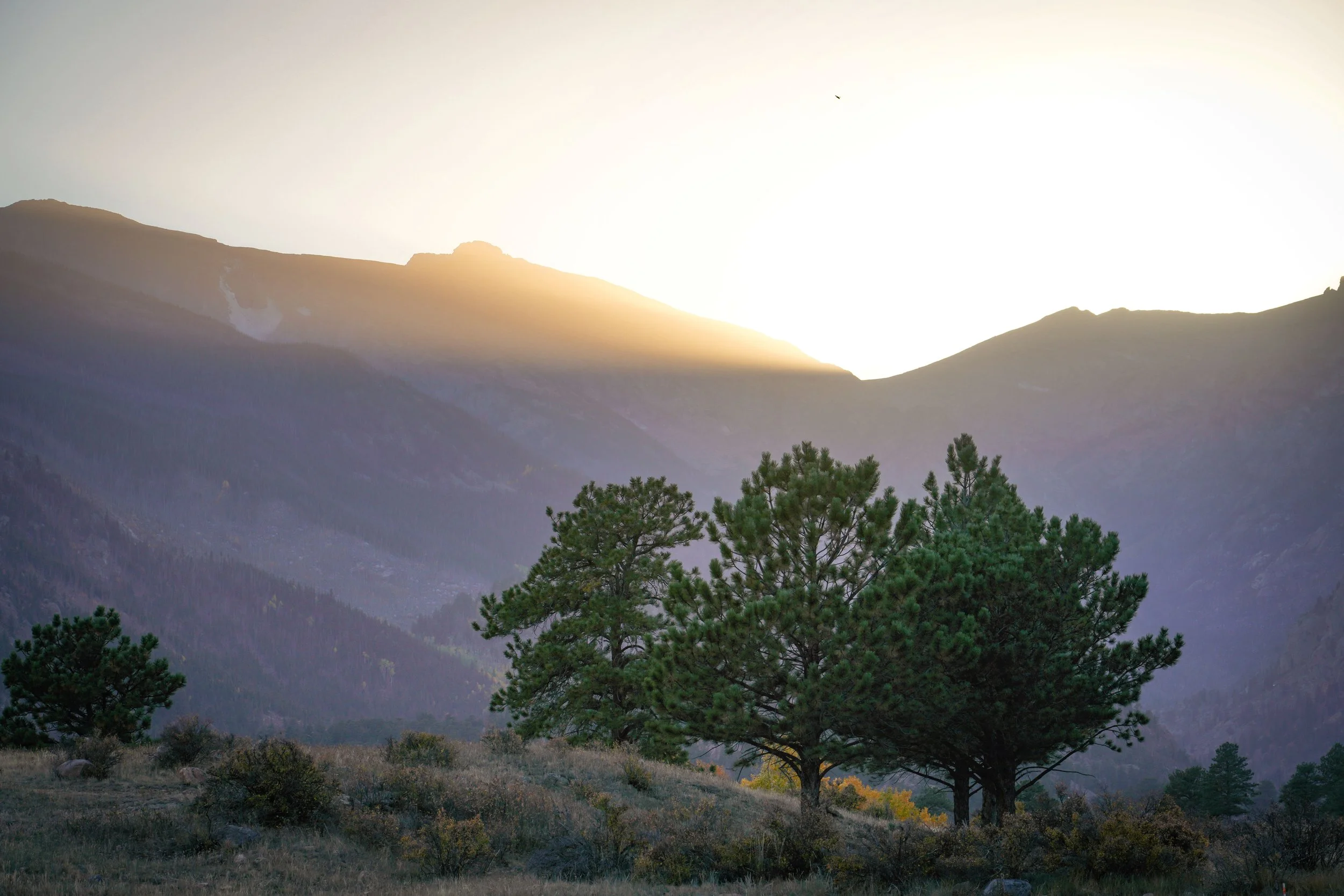 Last light over Moraine Park