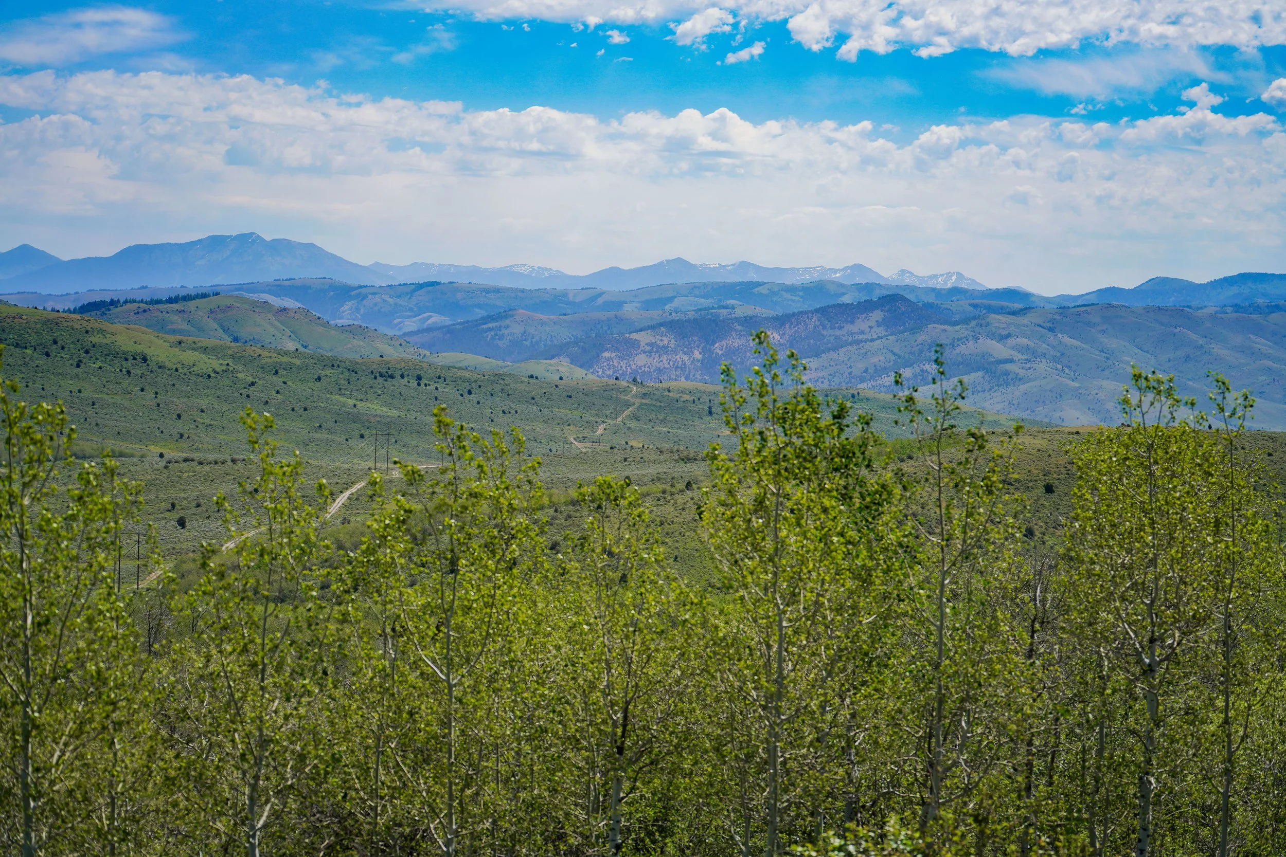 Views from the high point on the road, looking towards Jackson Hole