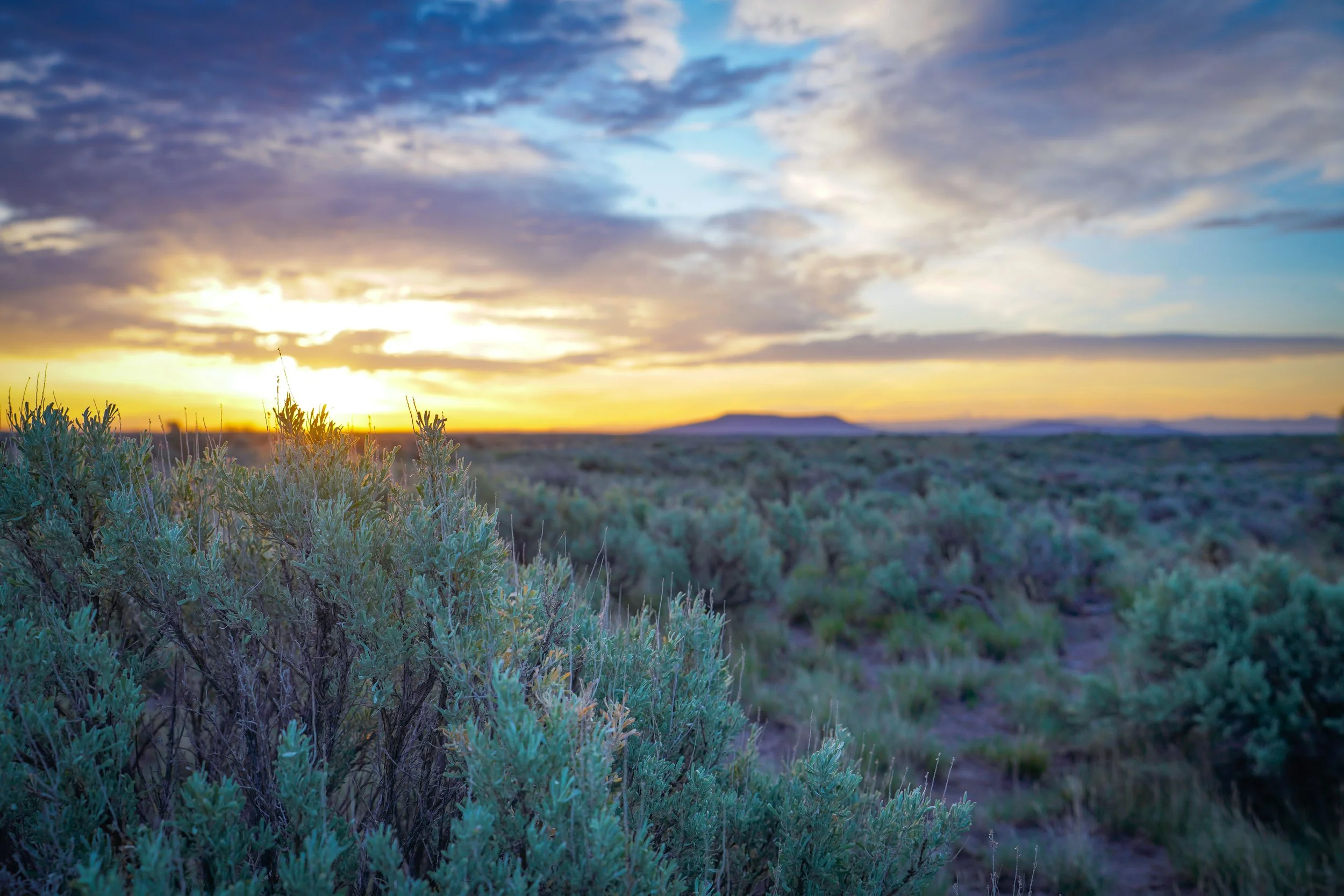 Sunrise at Market Lake (Menan Butte in the background)