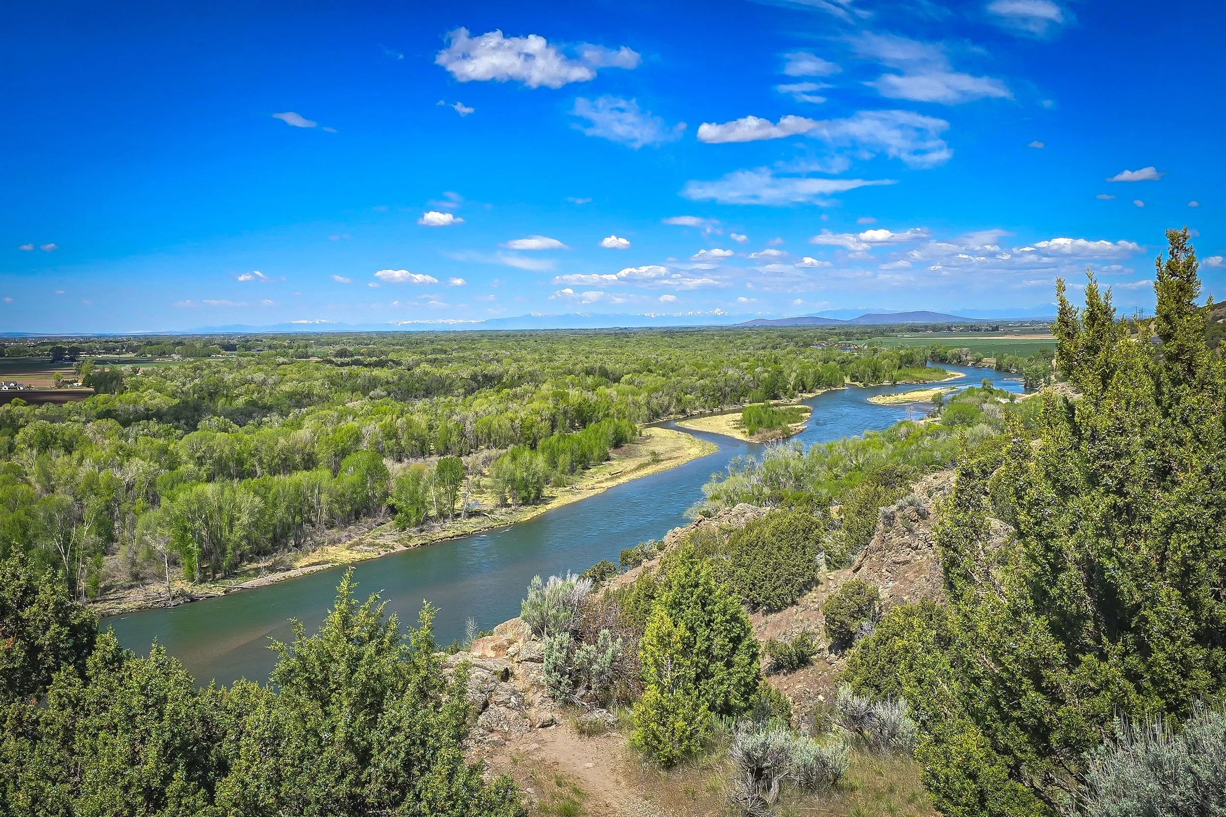 Snake River overlook from Cress Creek Trail