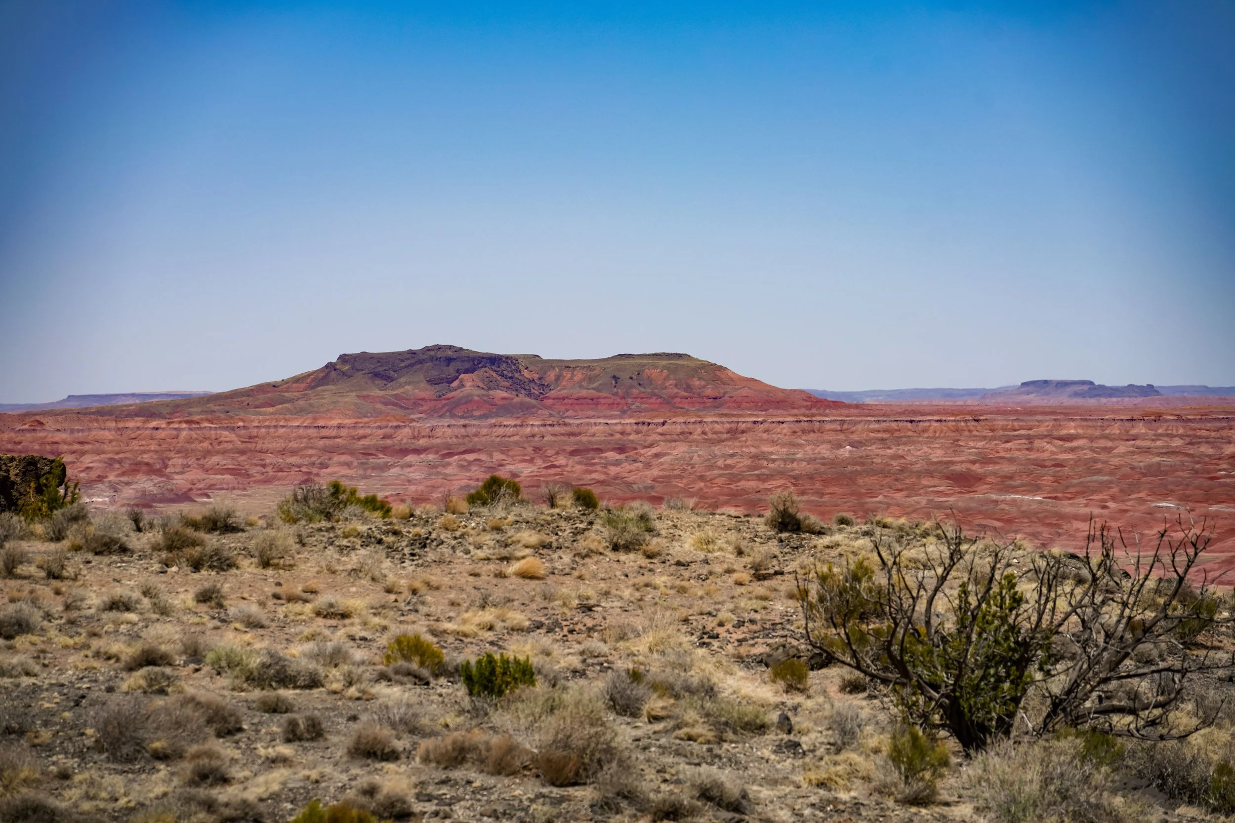 The Painted Desert in Petrified Forest National Park