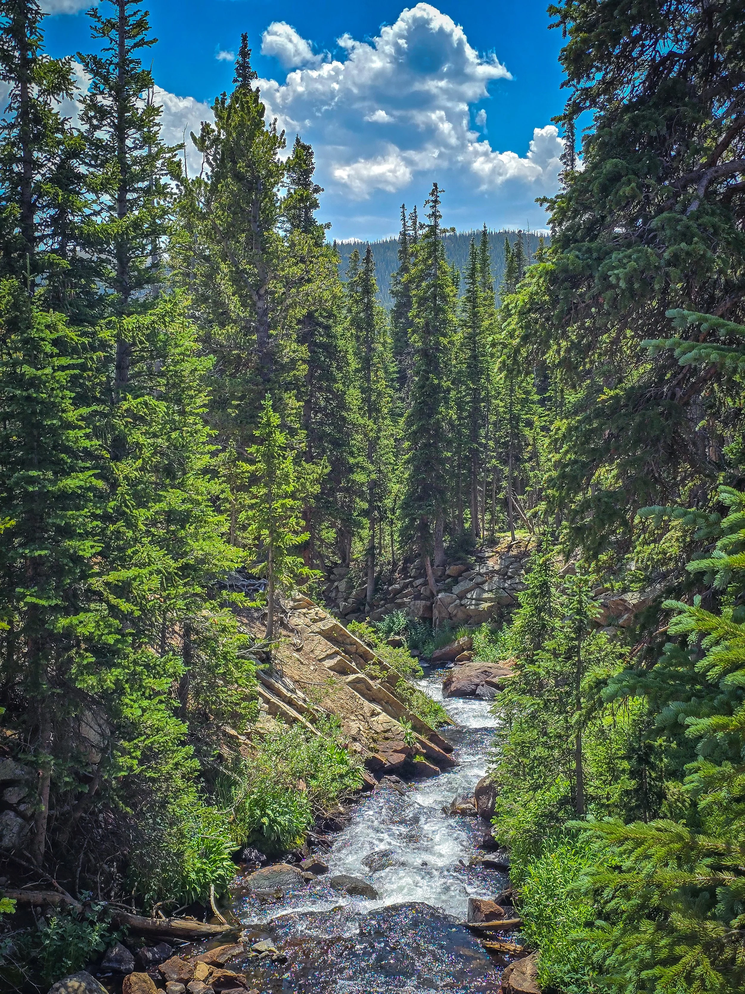 20240802_124537.jpg