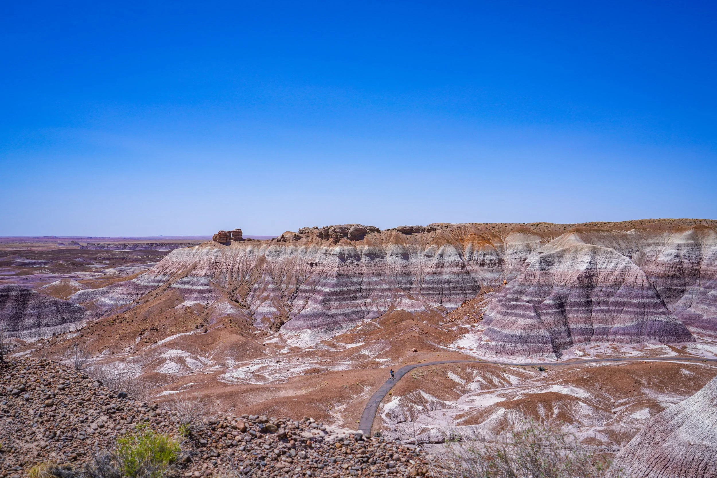 Blue Mesa trail