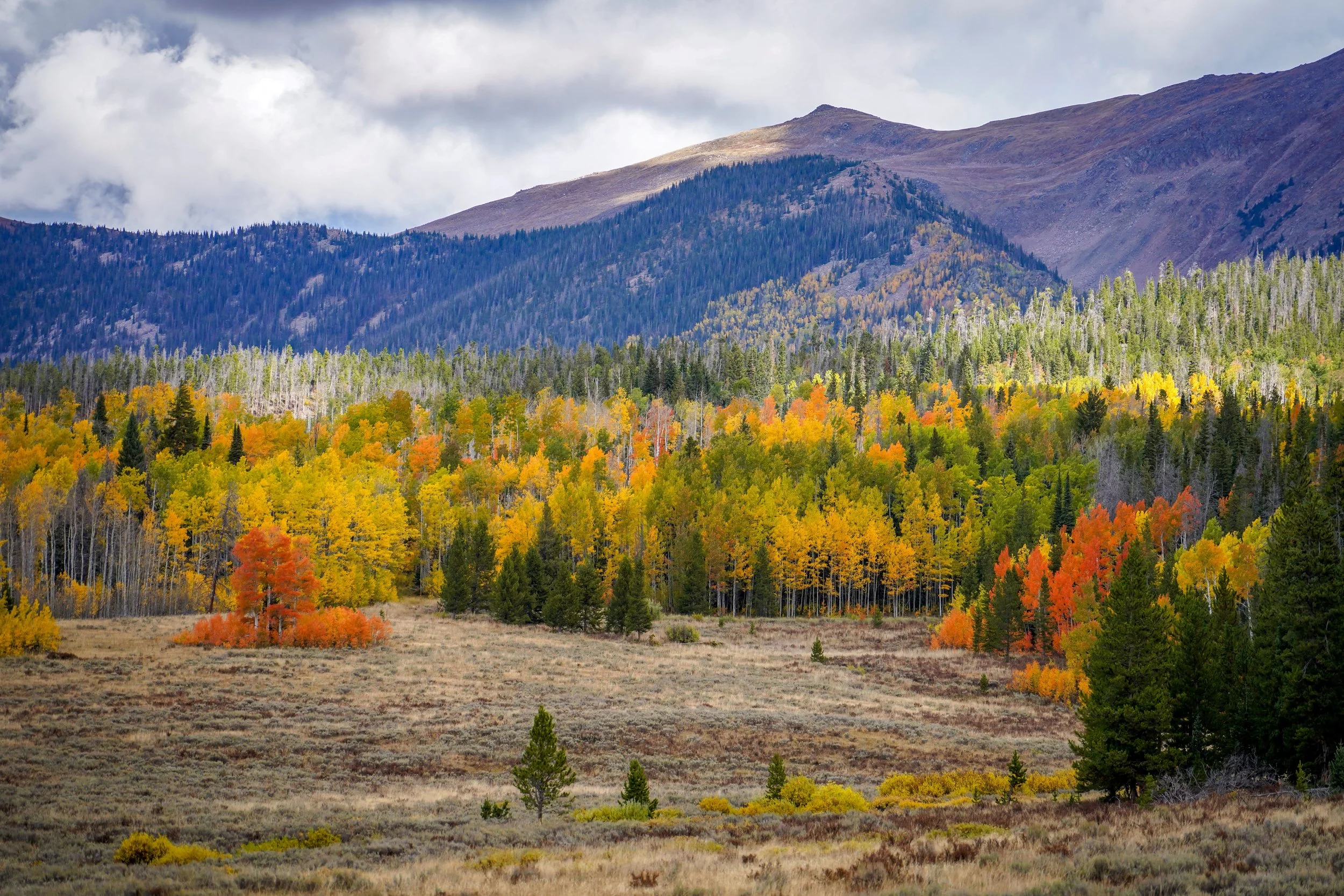 Glorious Autumn!