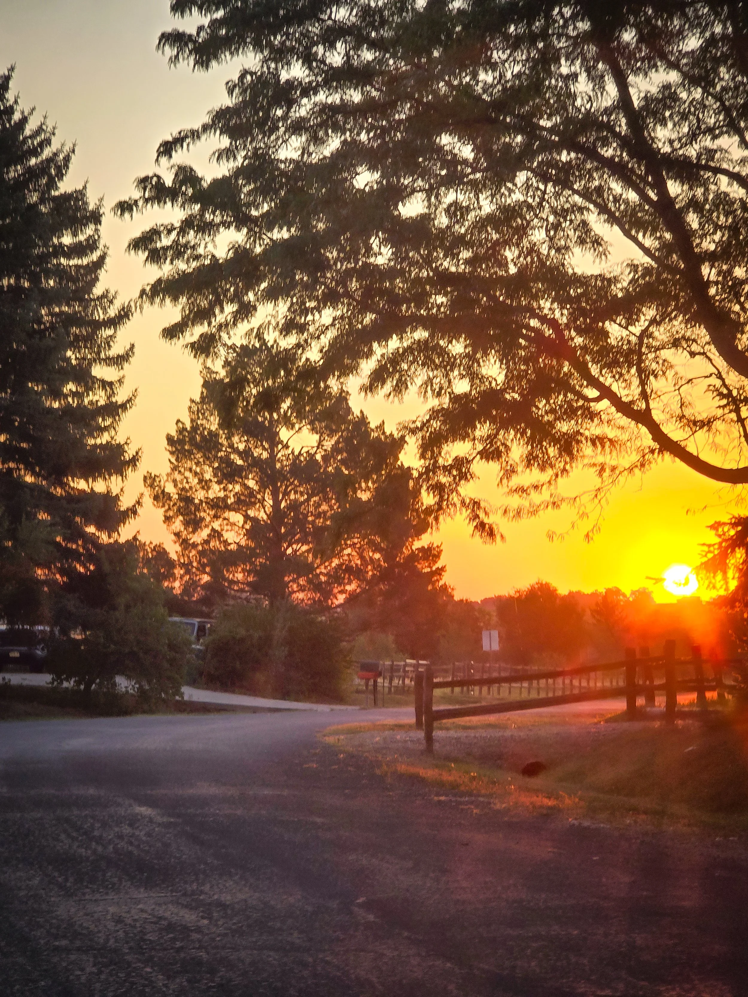 Early morning start to get to the banding station