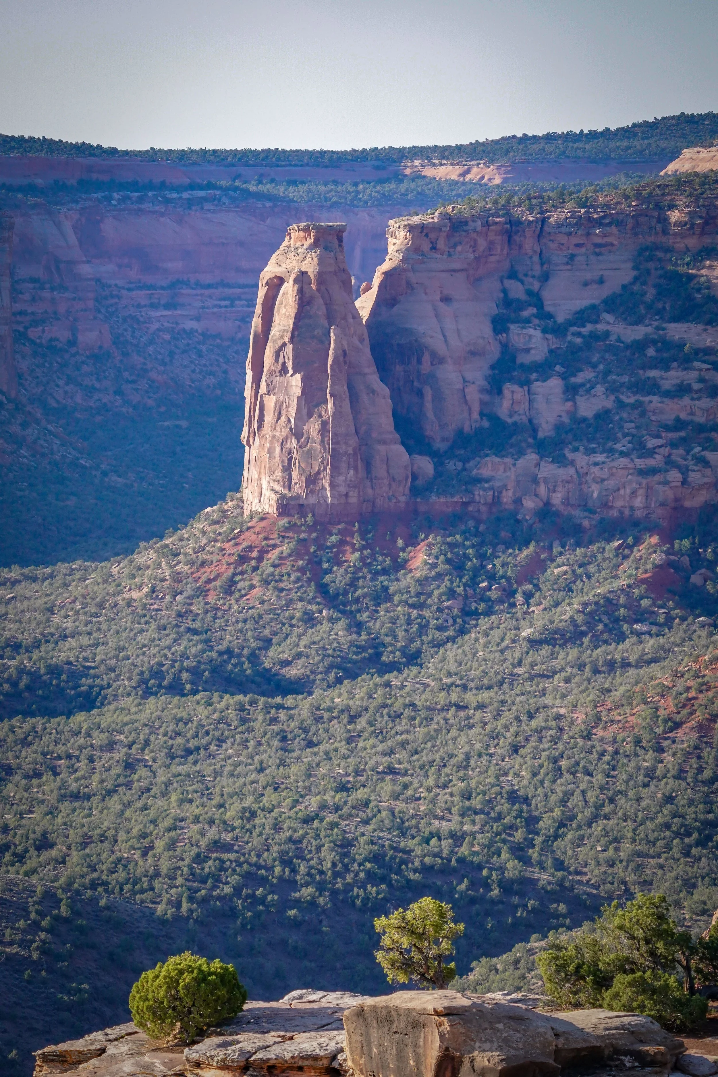 DSC03775.2.jpg