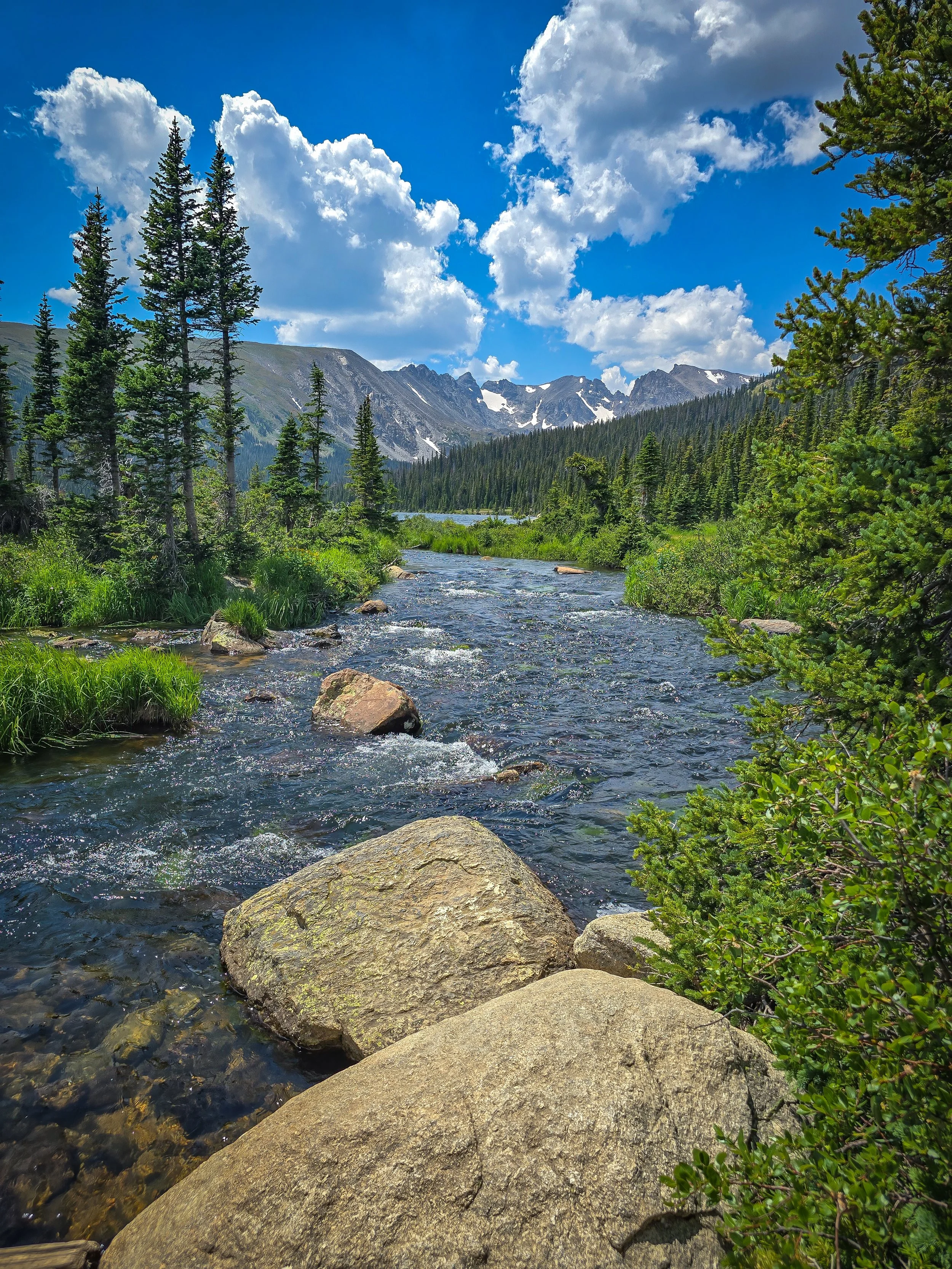 Long Lake view