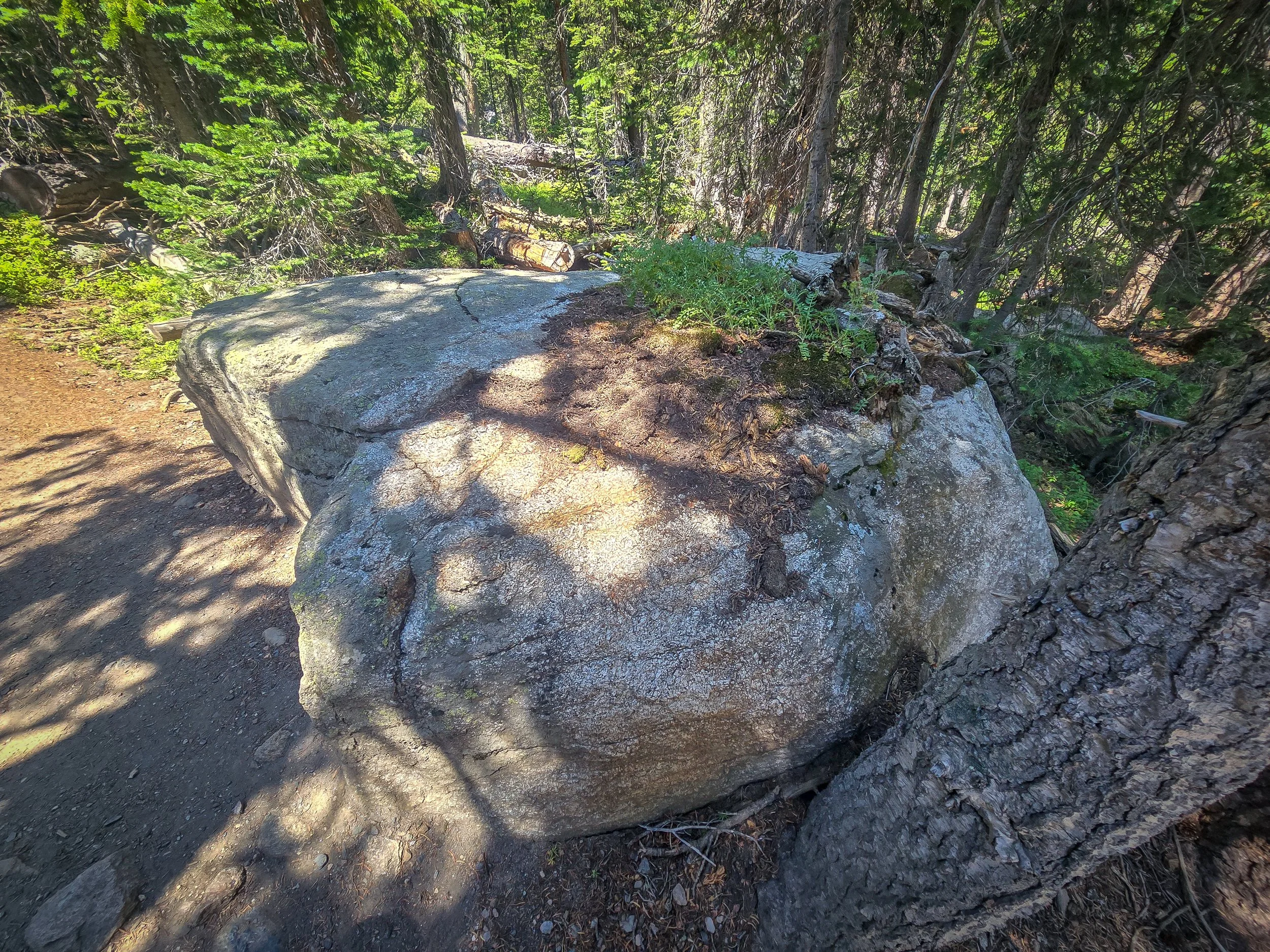20240802_124926.jpg