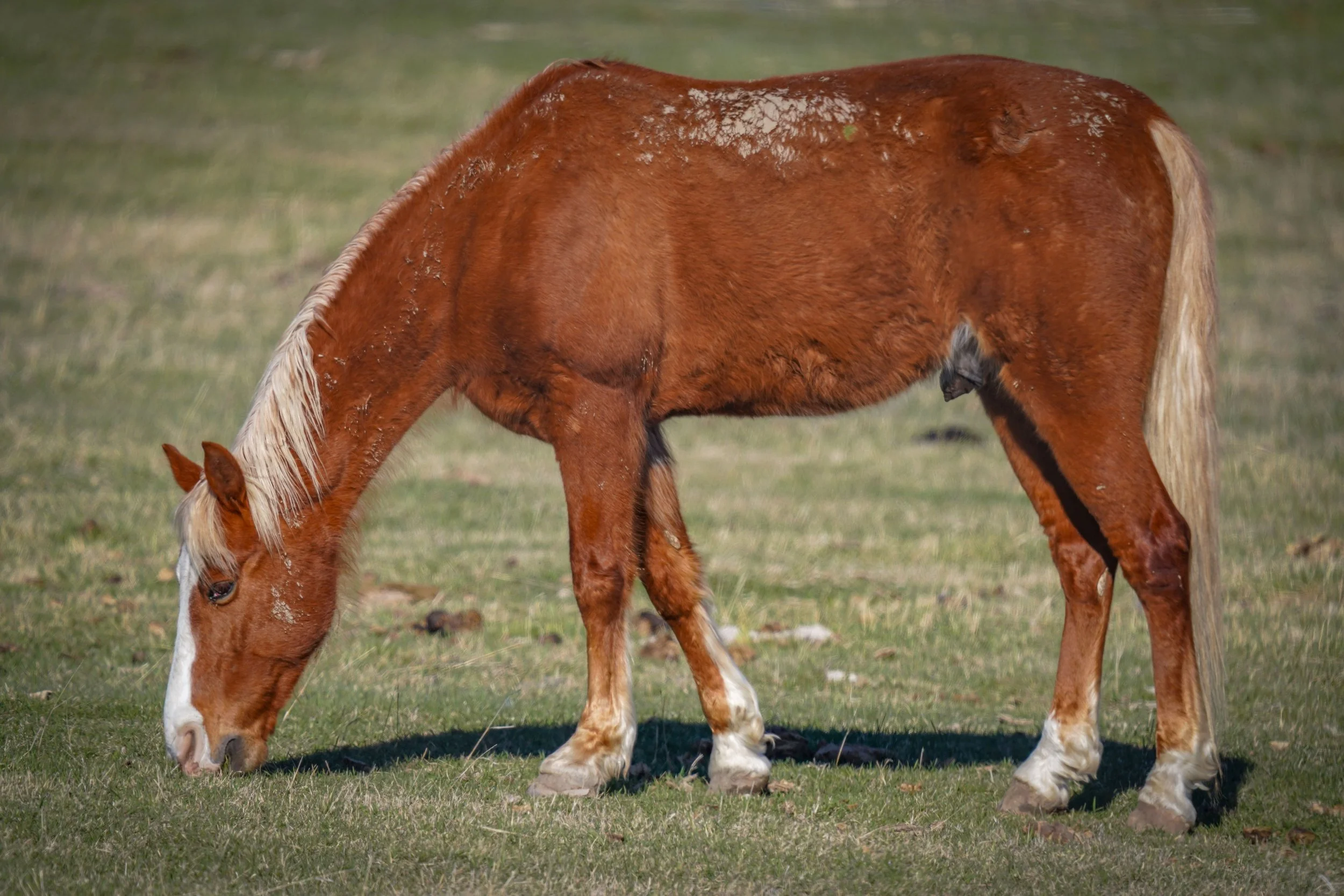 Lots of green coming up