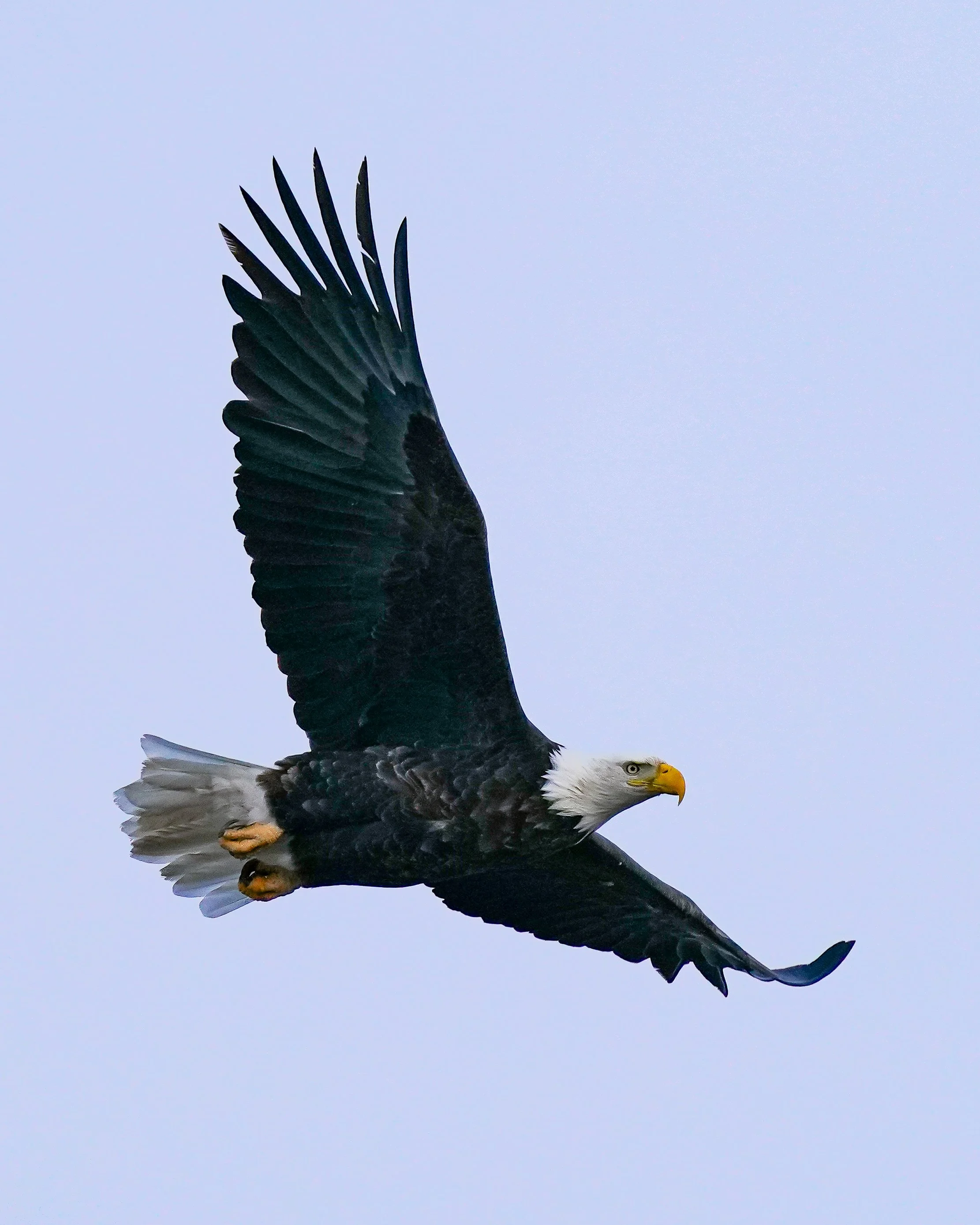 A favorite from my birthday