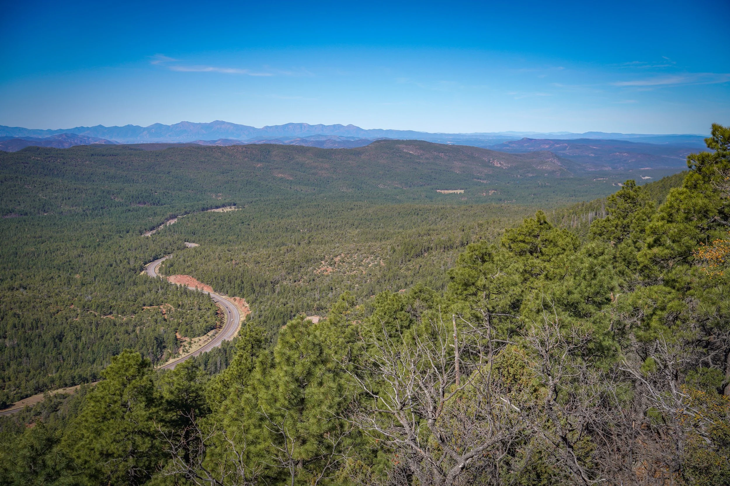 Vista from Mogollon Rim