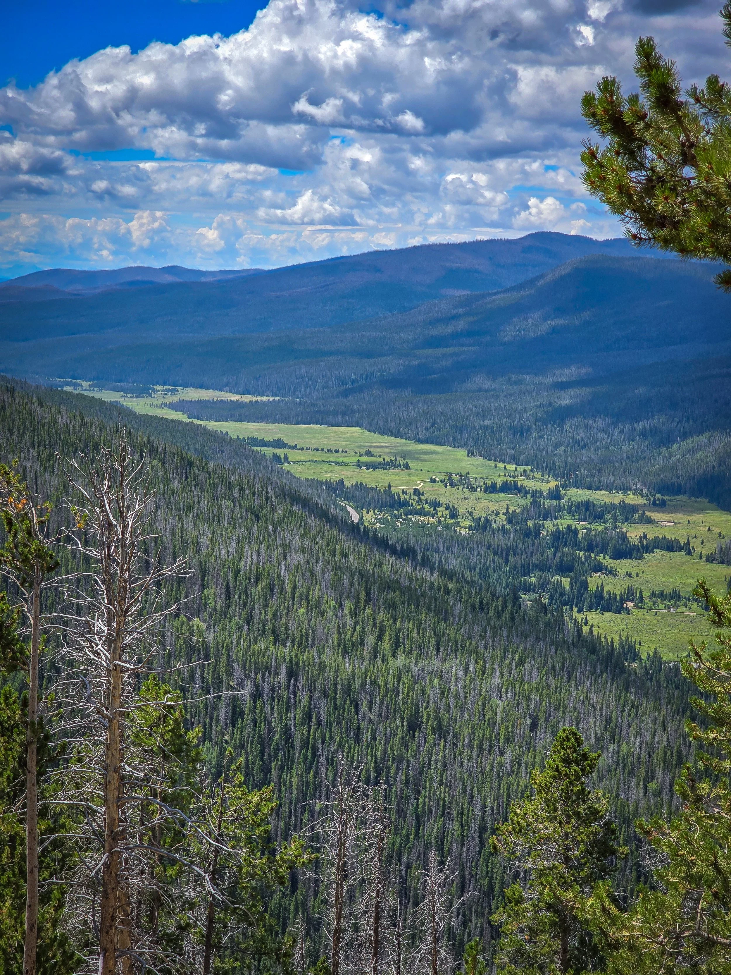 Farview Curve view