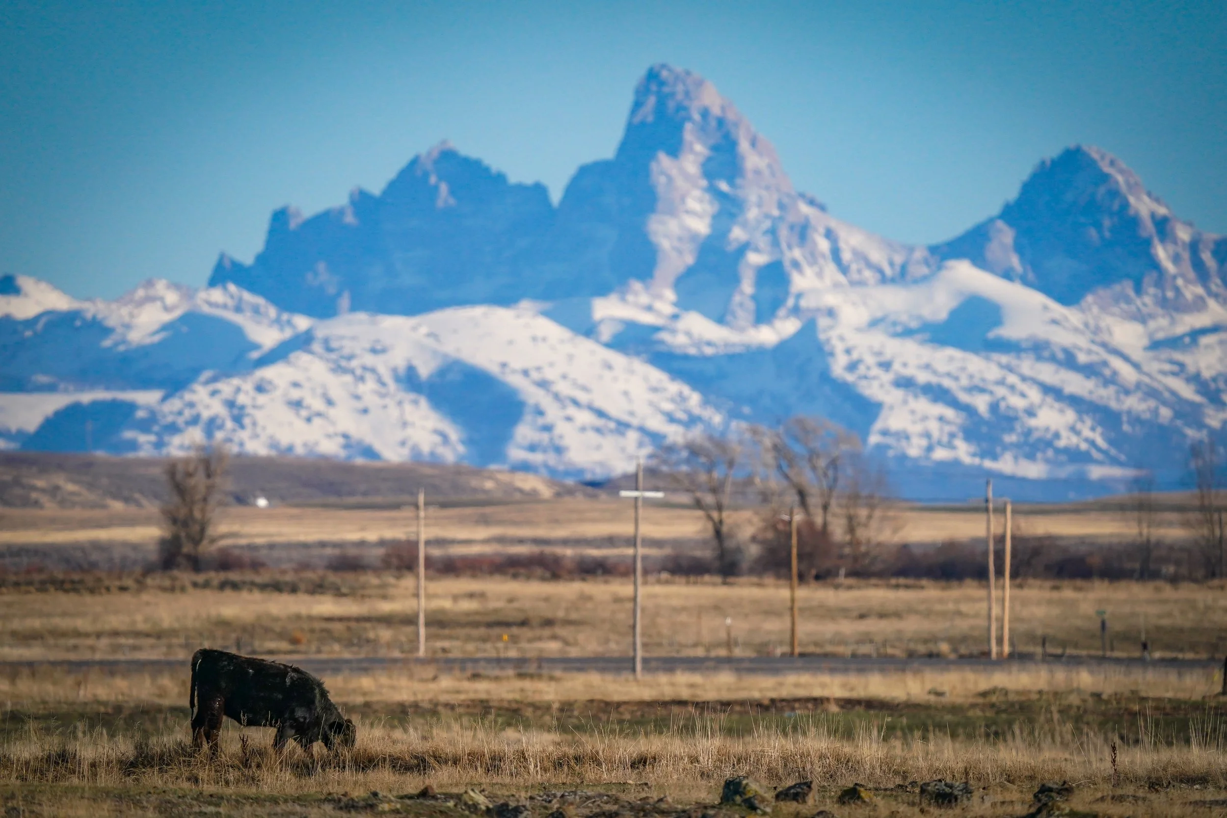 The Tetons are gorgeous from any angle!