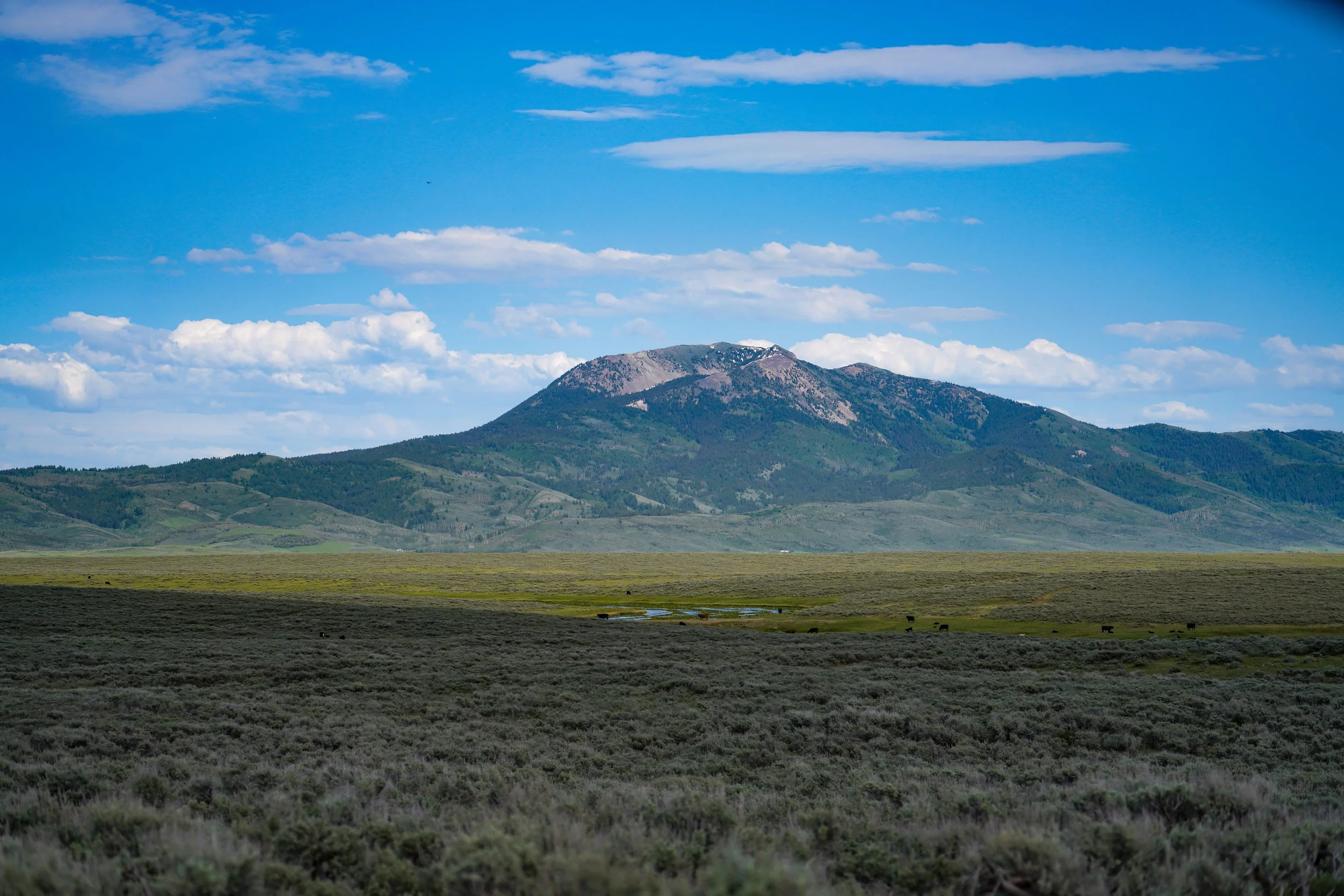 Views at the refuge