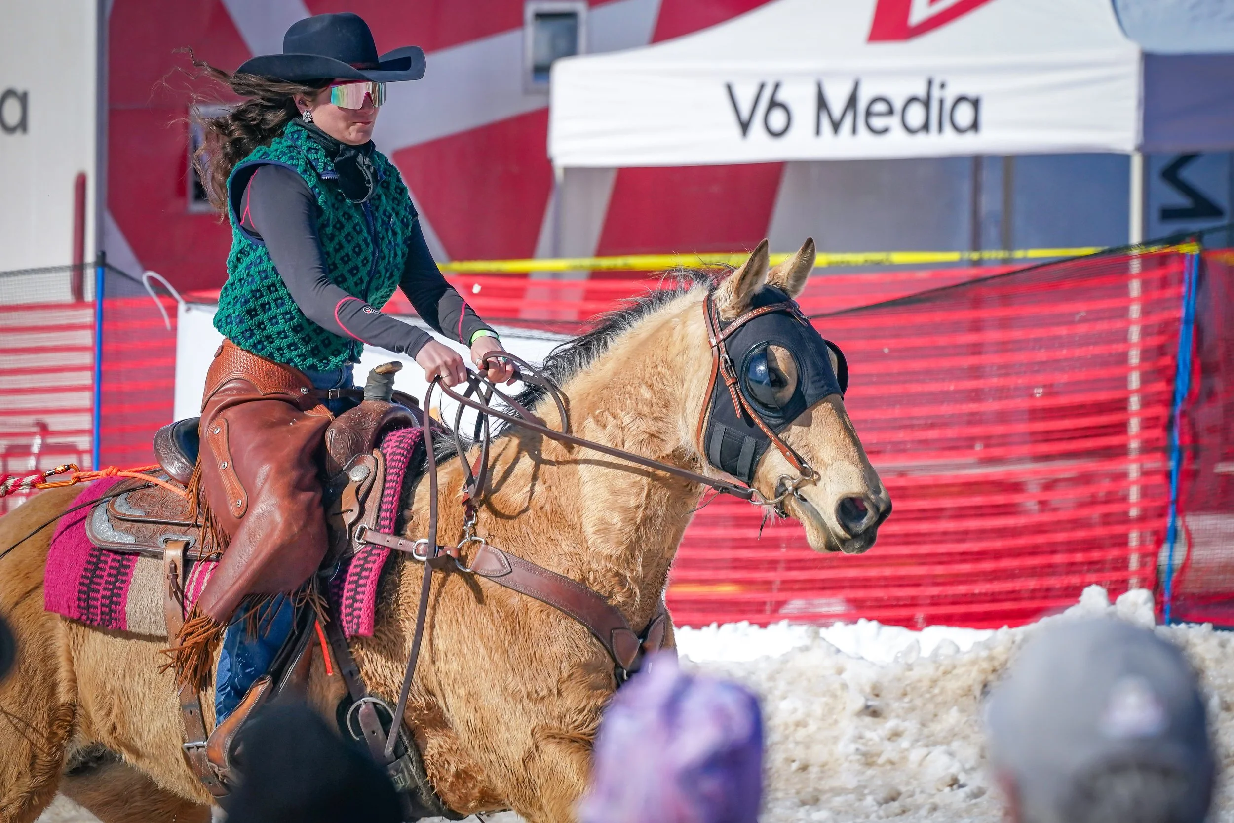 This horse is Honeybear