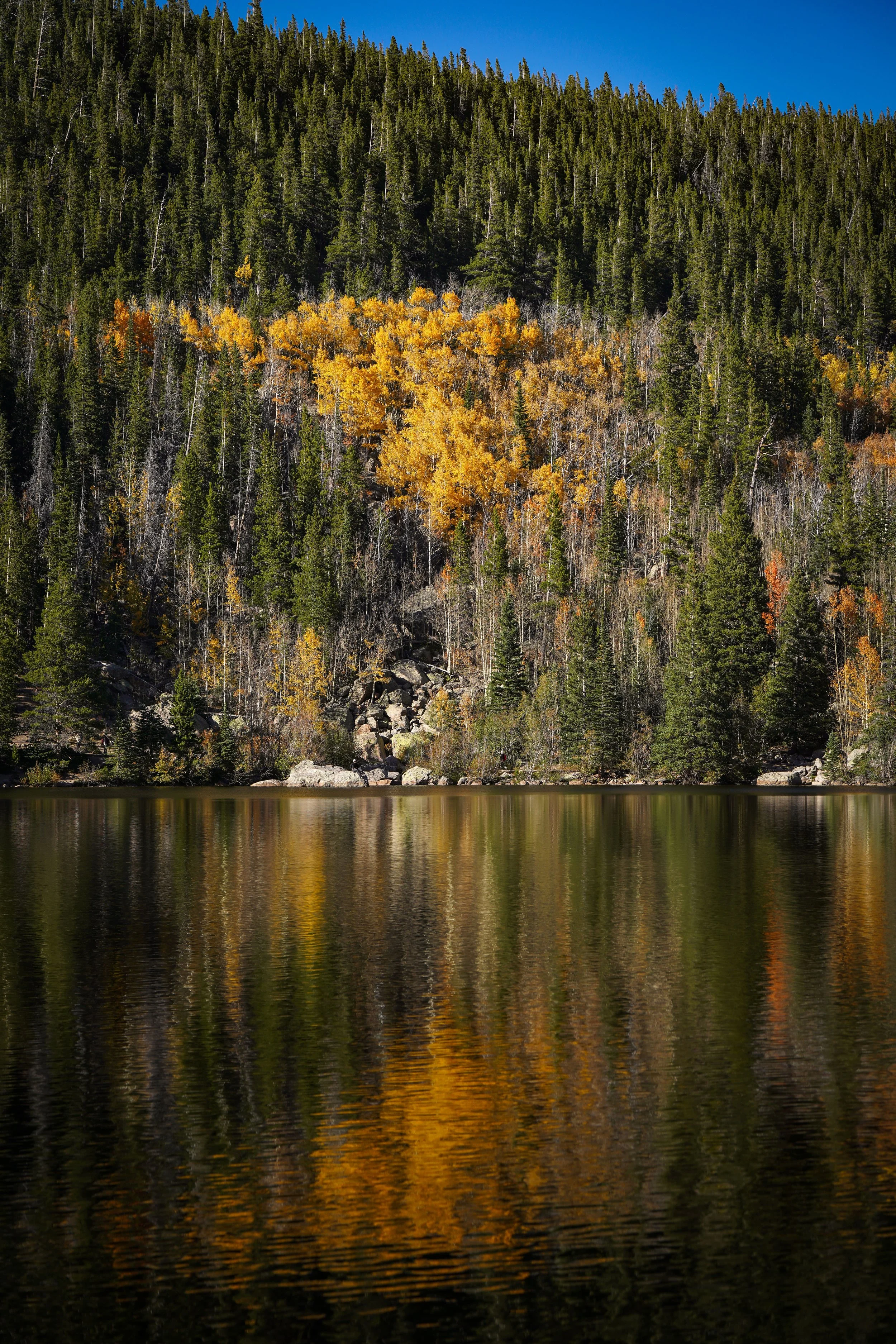 Bear Lake reflections