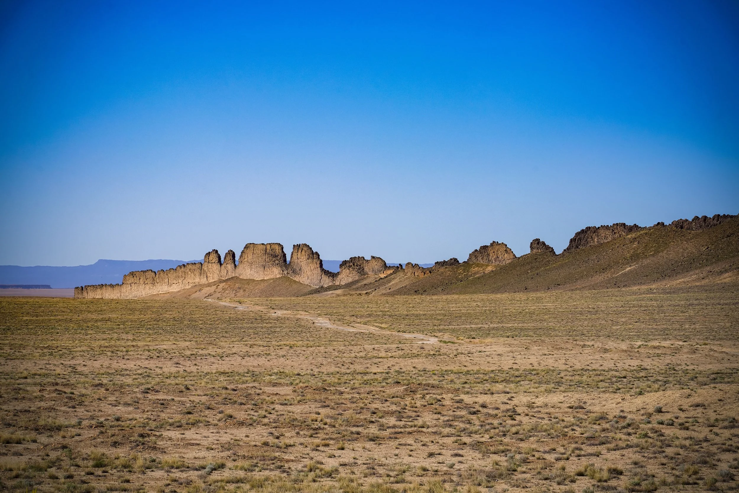 LNS00499.2.jpg