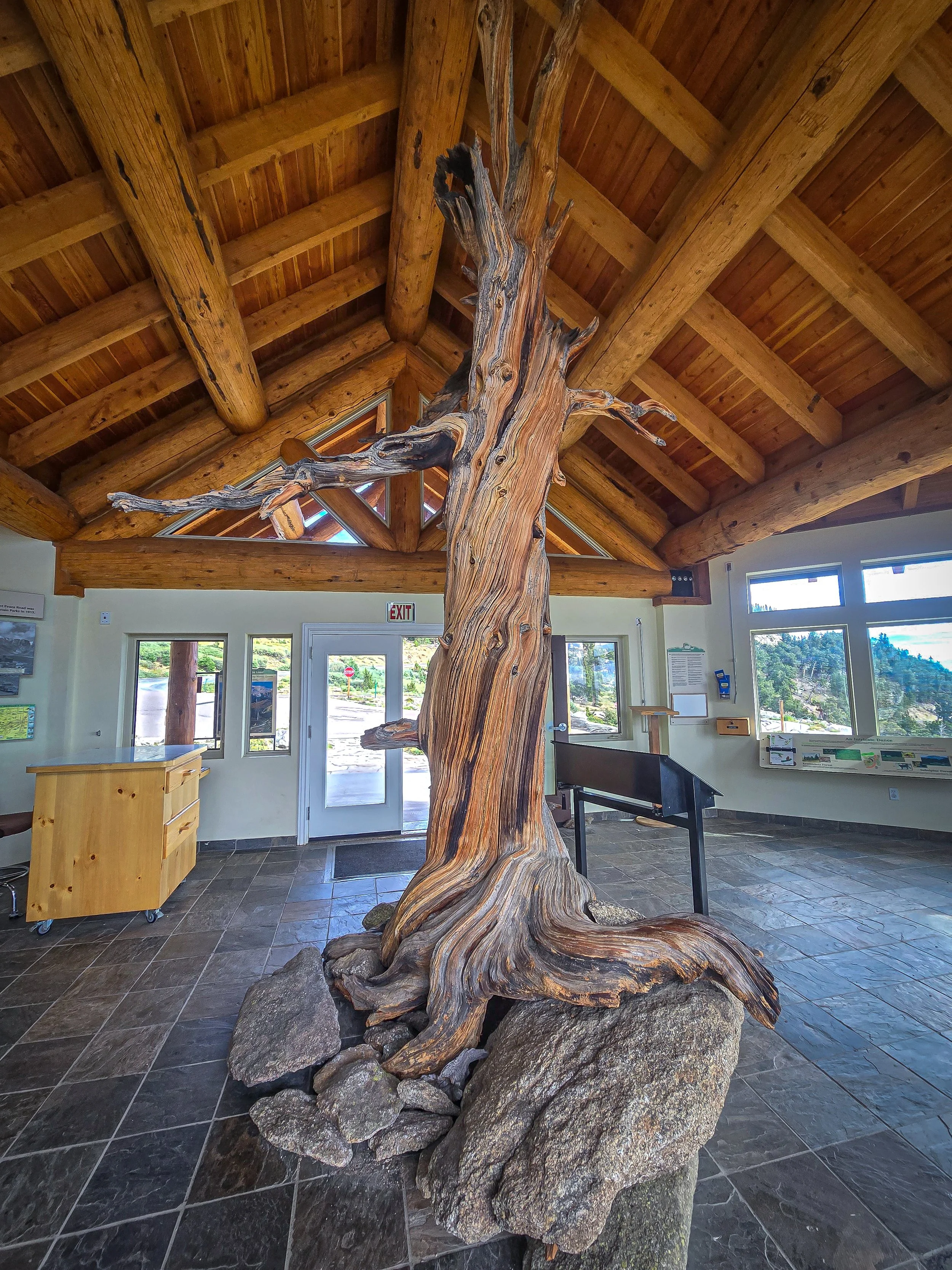 Mt. Goliath Natural Area information station