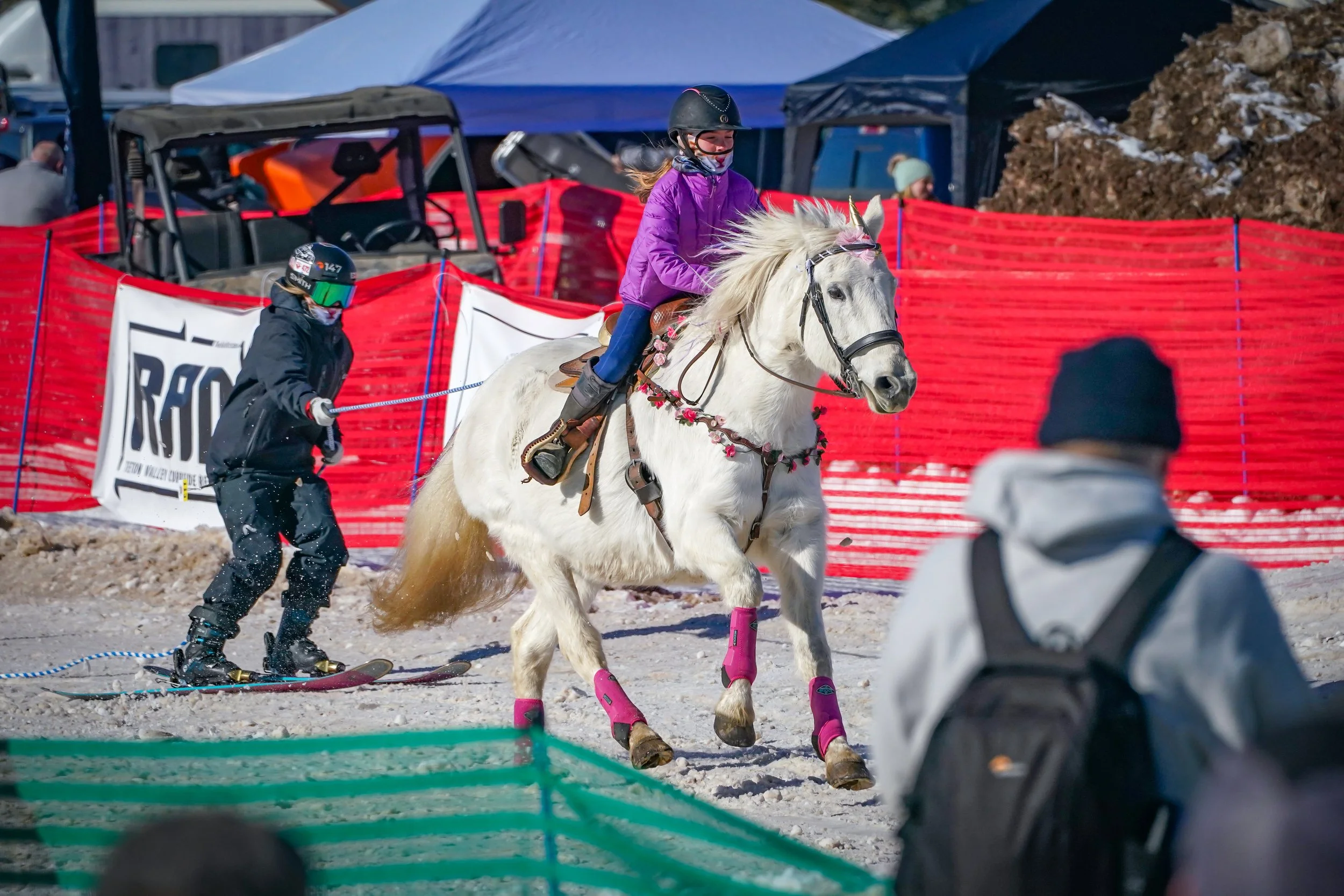 Loved the unicorn horn on this horse