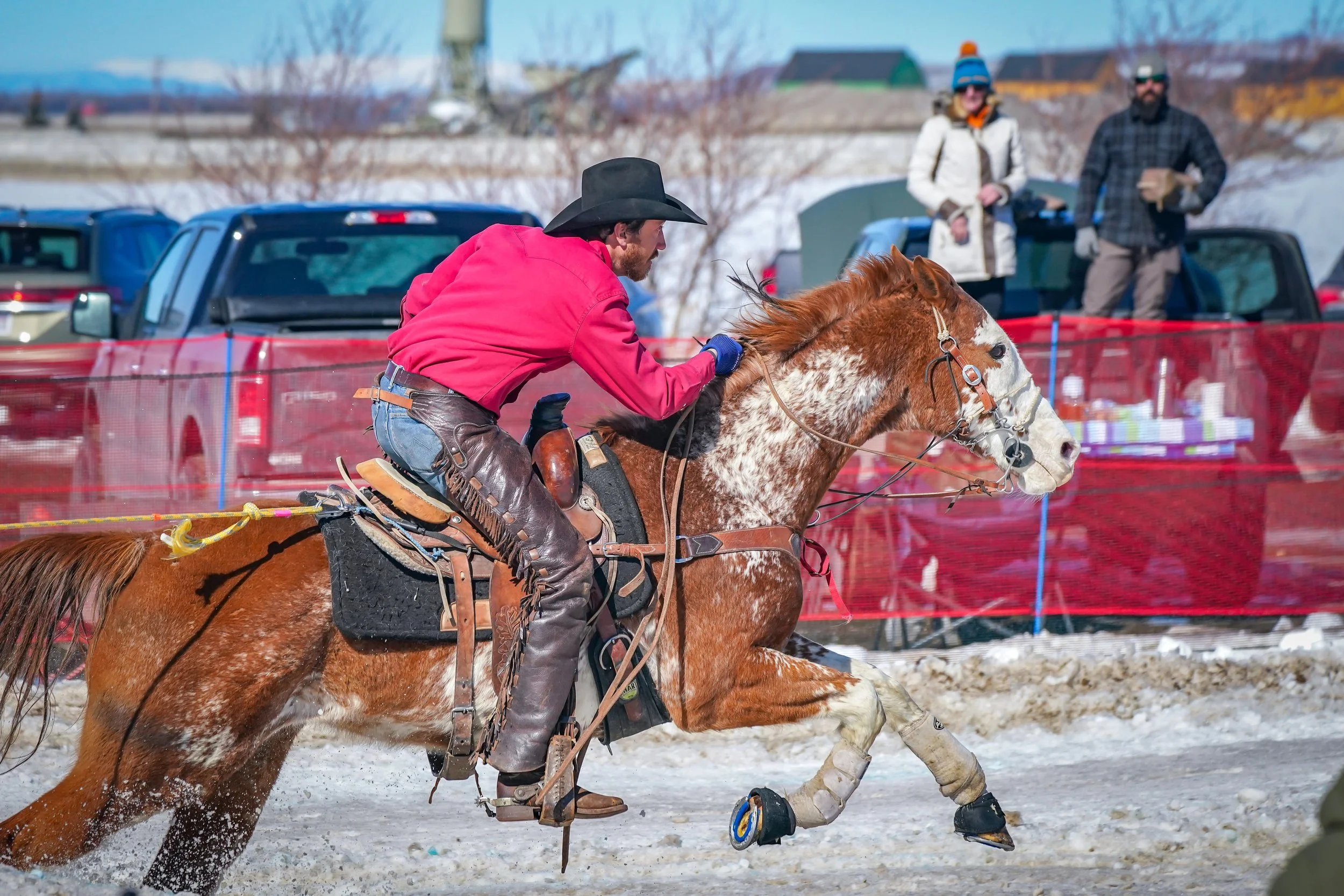 This horse is "Frank and Beans" and is a veteran of the event, competing for over 10 years!