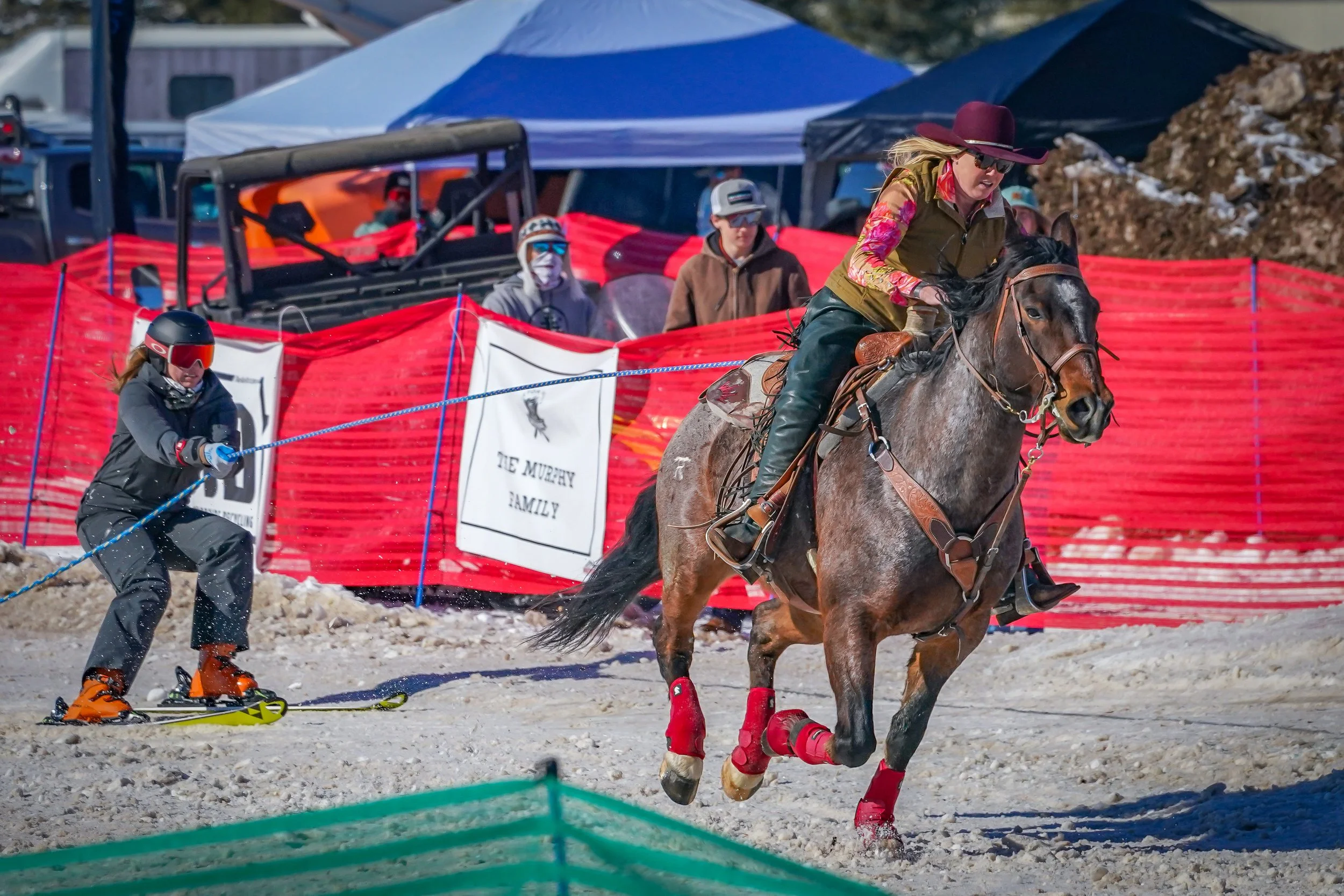 Horses wear special shoes to prevent snow from packing into their hooves, along with protective leg gear to prevent them nicking themselves