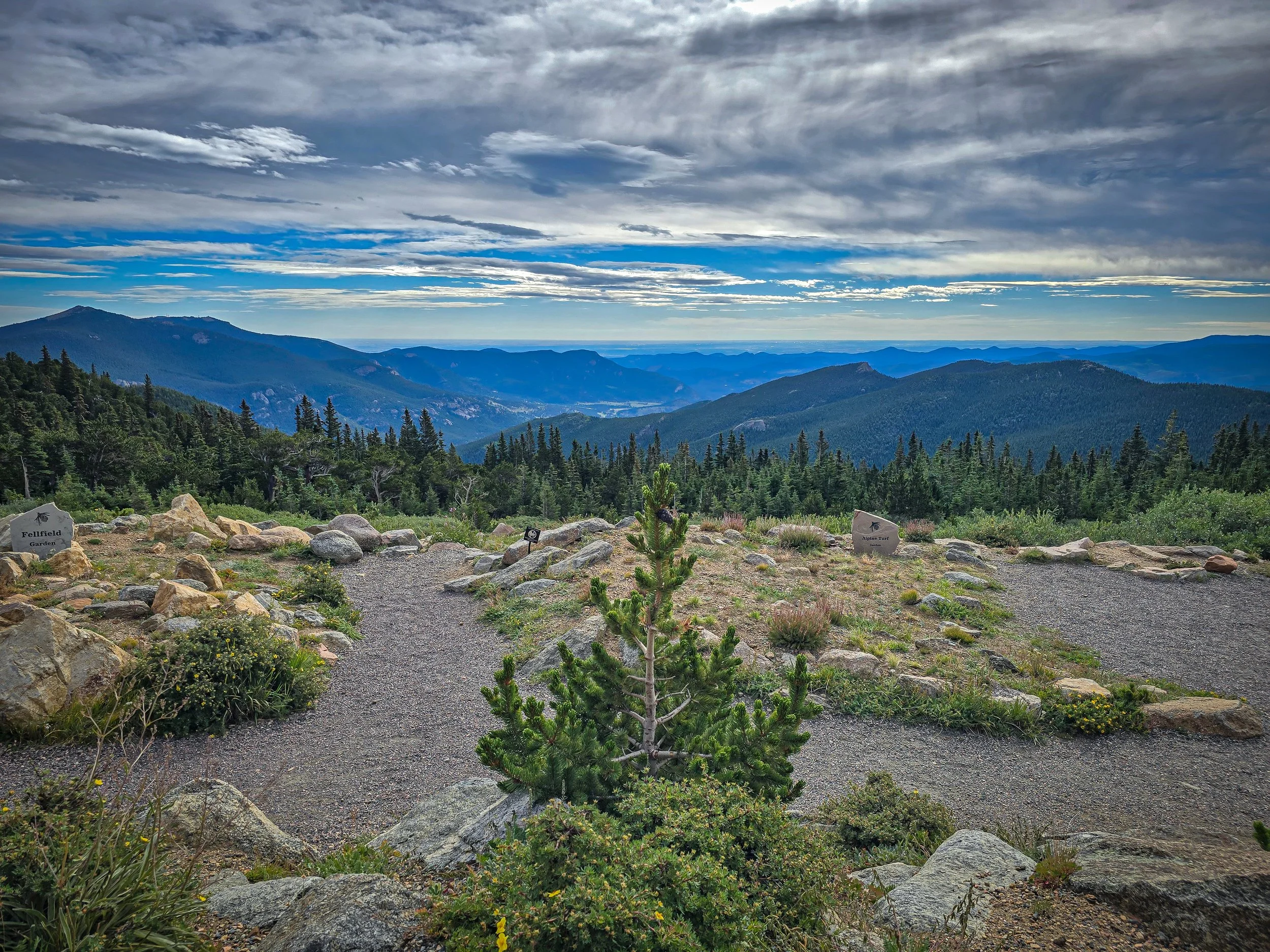 View east from Mt. Goliath Natural Area