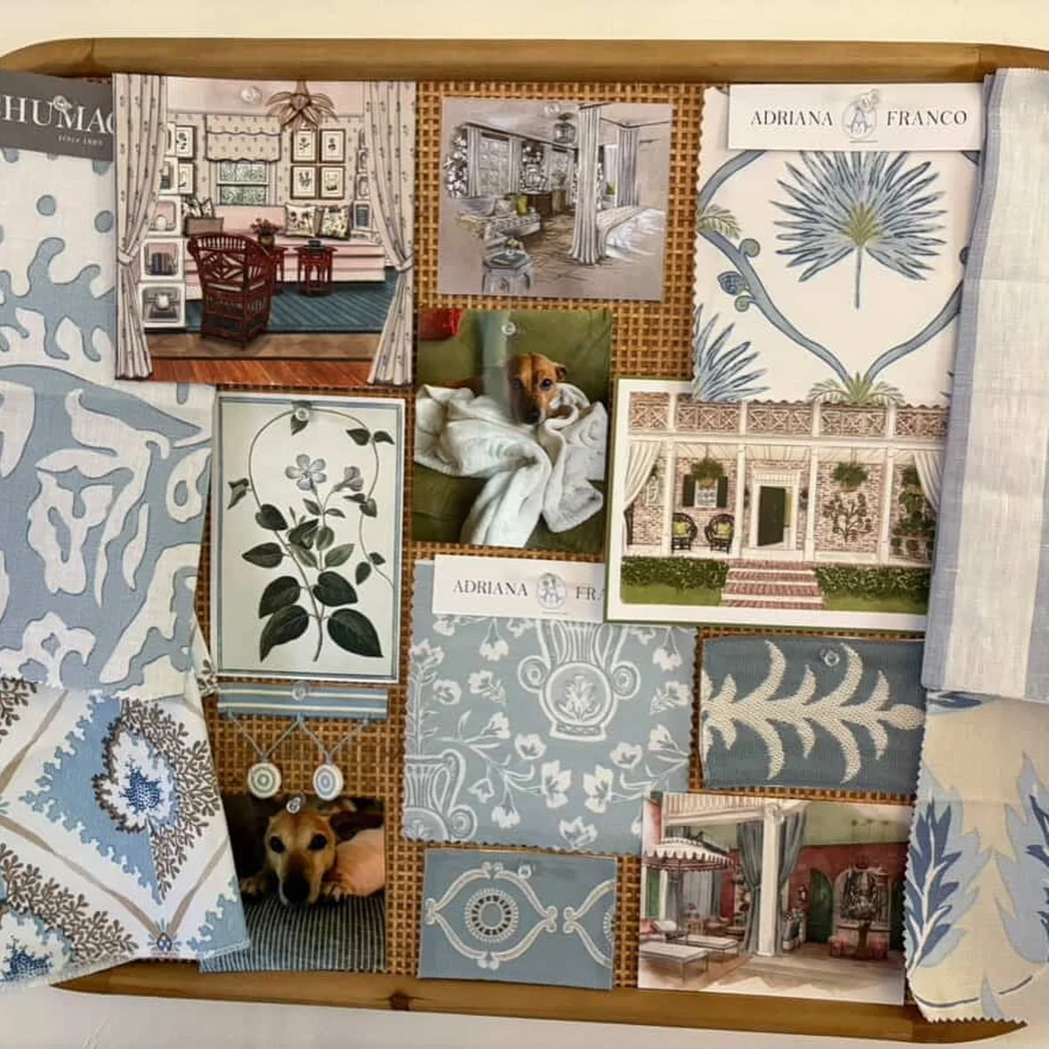 There&rsquo;s something really special about seeing designers bring these fabrics to life in their own way. Each scheme tells a different story.

Yesterday was International Women&rsquo;s Day, and it feels like the perfect moment to say how grateful 