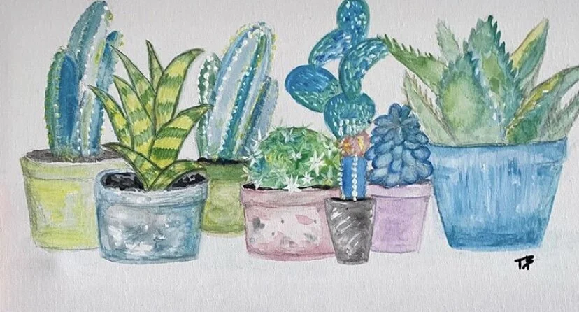 Watercolor painting of various potted succulents and cacti in colorful pots.