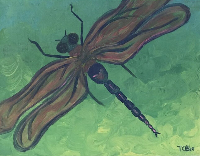 Painting of a dragonfly with brown and black wings and a black-striped tail, set against a green background.