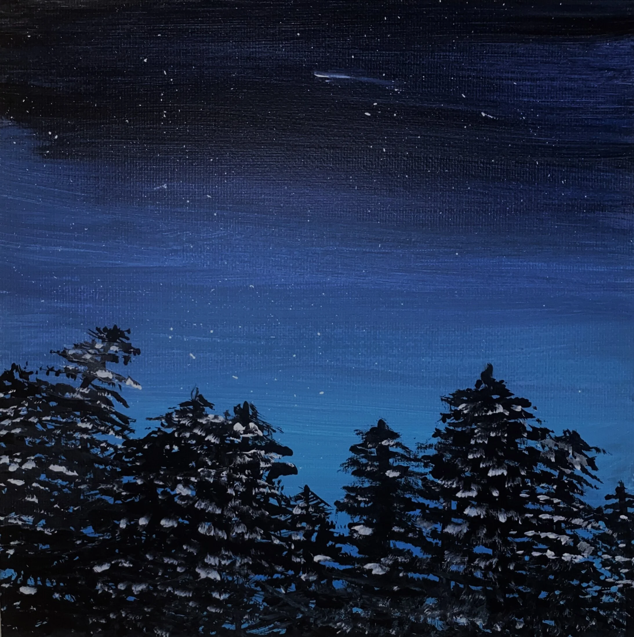 Nighttime scene with starry sky, silhouettes of trees, and snow on the branches.