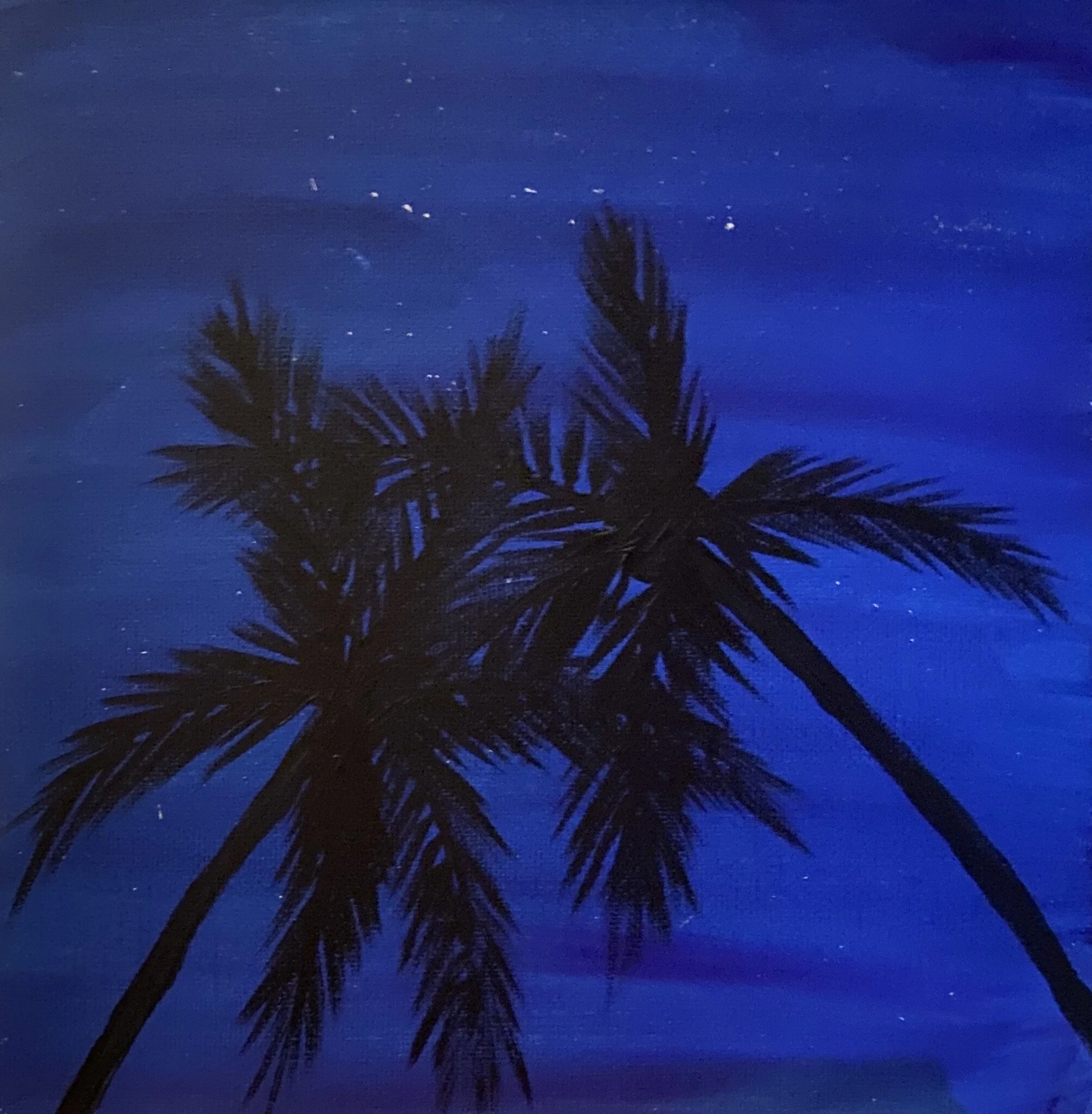 Night sky with stars and the silhouette of a palm tree.