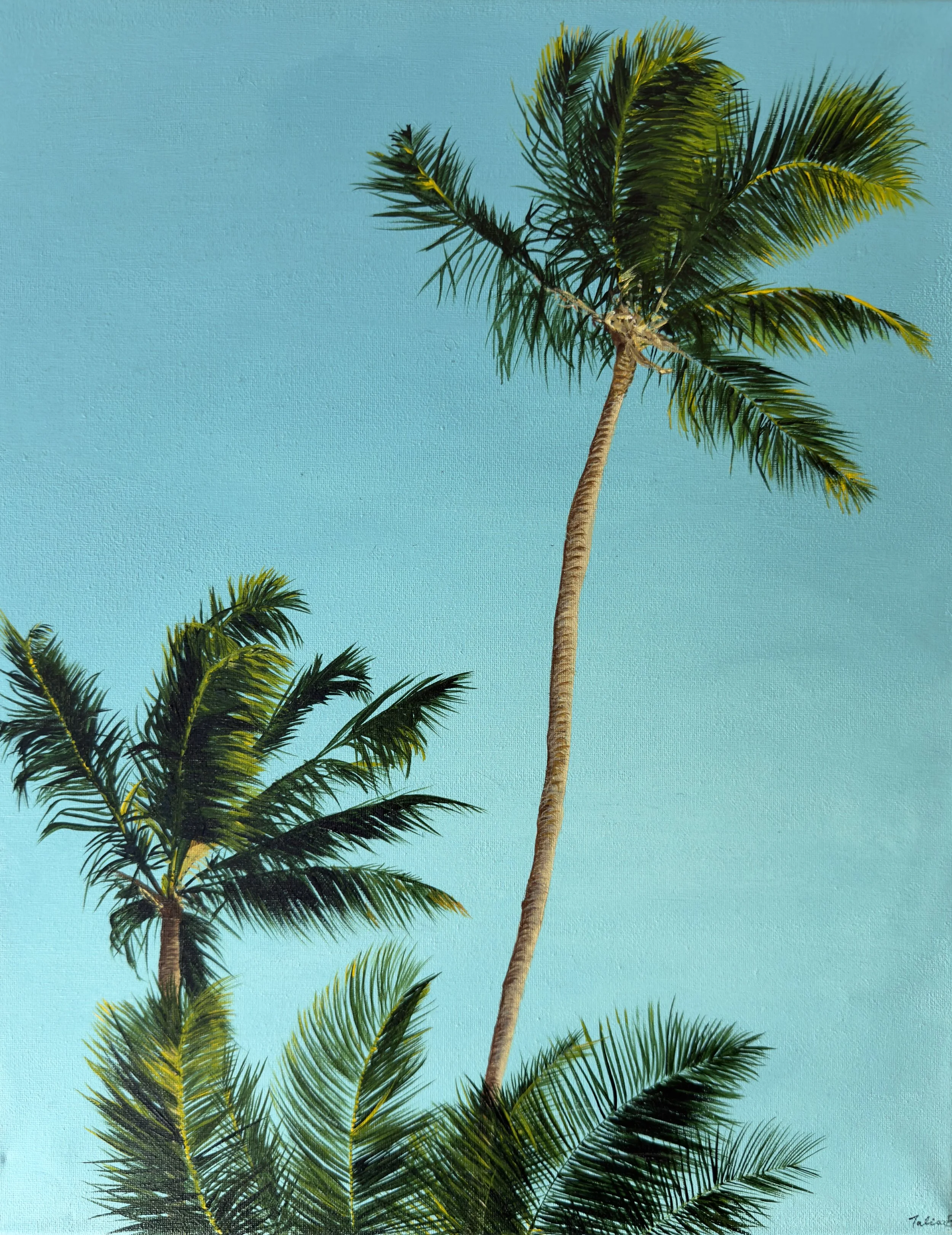 Sunny Day (2025) 16"x20"
acrylic on canvas