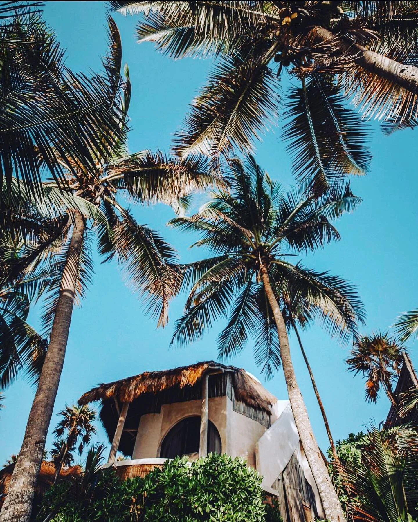 Looking for a warm getaway? Come join us in paradise 🌴