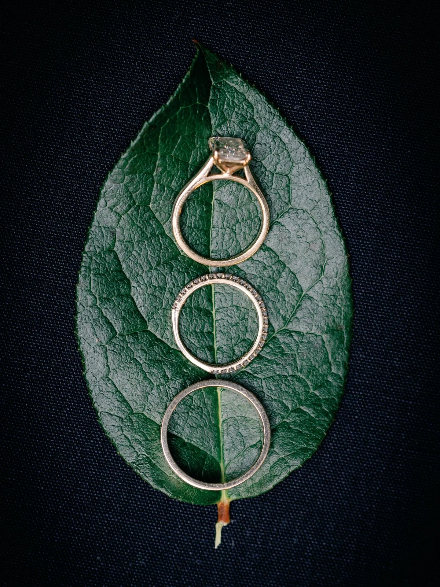 Beautiful wedding ceremony at Brix and Mortar with Crystal and Stephen 

deminphotography.com

#vancouverweddingphotography  #vancouverweddingphotographer #weddingphotography #wedding #bride