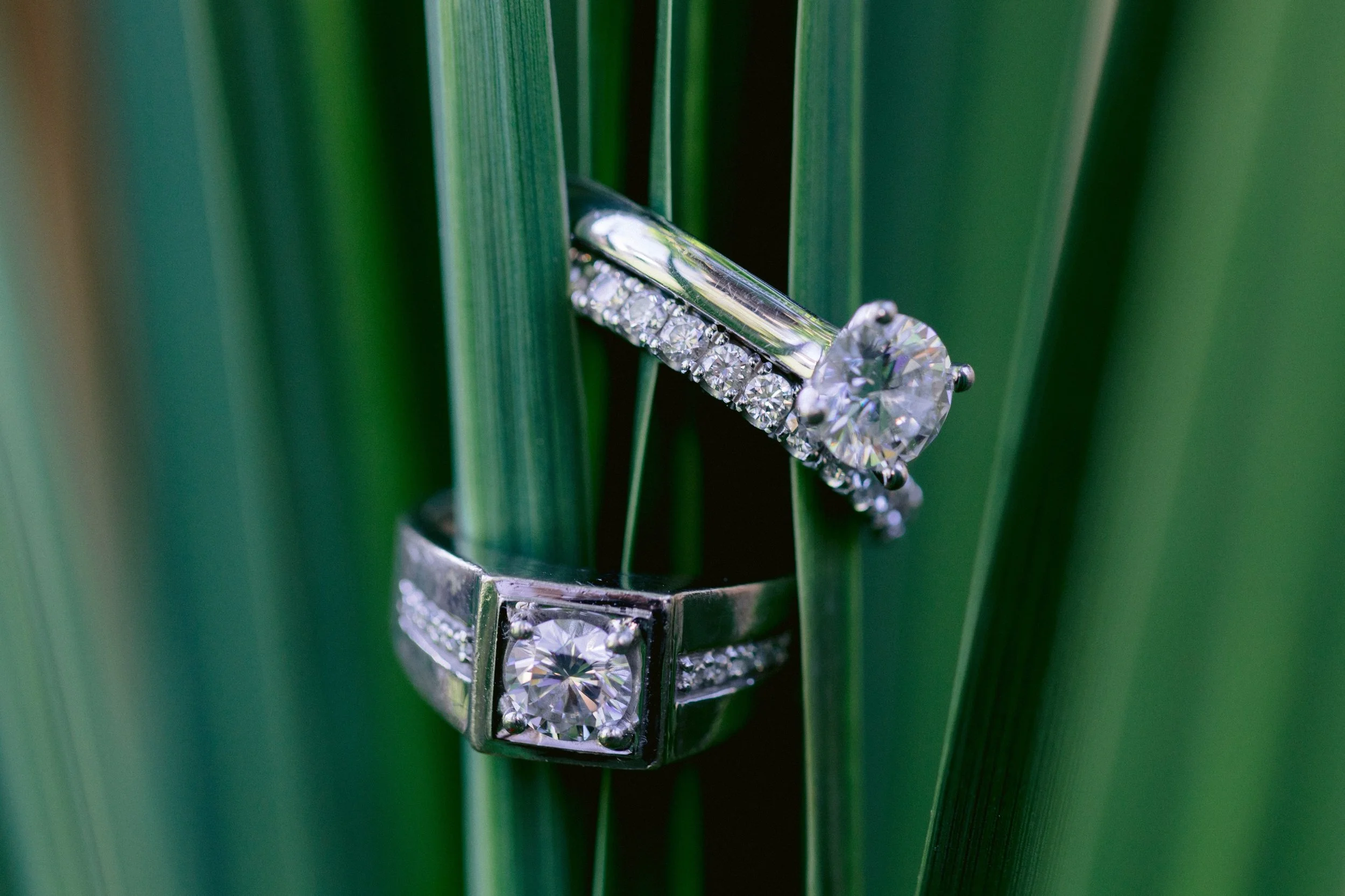 Rings deserve an attention too 💍 

deminphotography.com

#vancouverweddingphotography  #vancouverweddingphotographer #weddingphotography #wedding #bride
