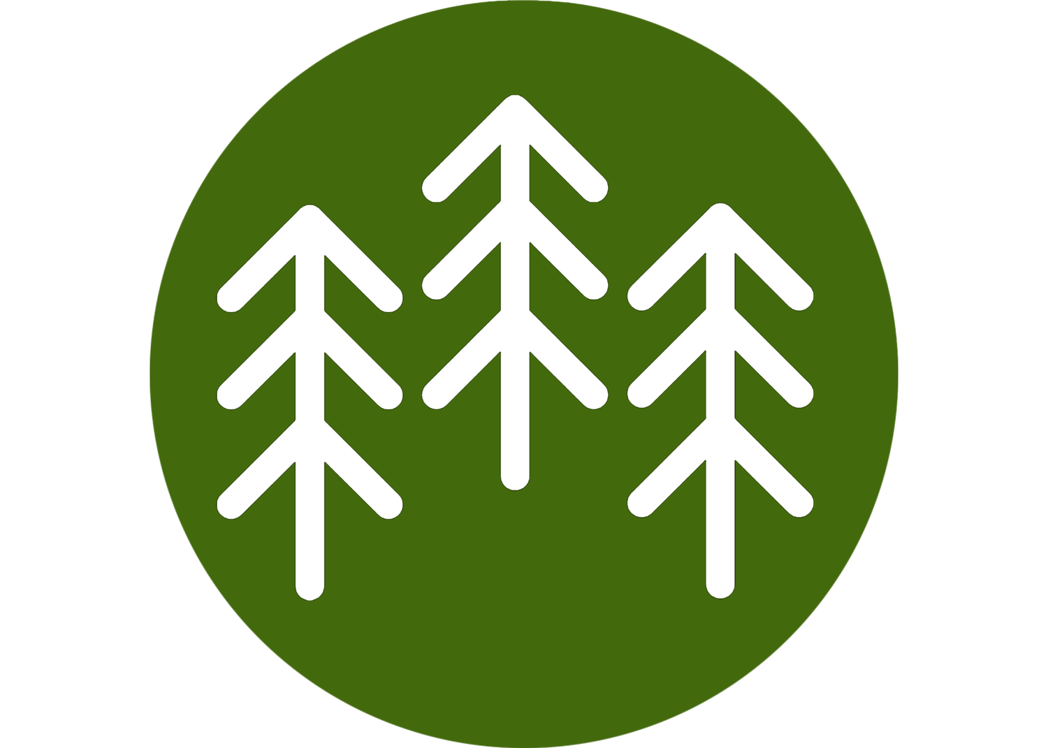 Tall Pines Studio