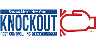 Knock out pest.png