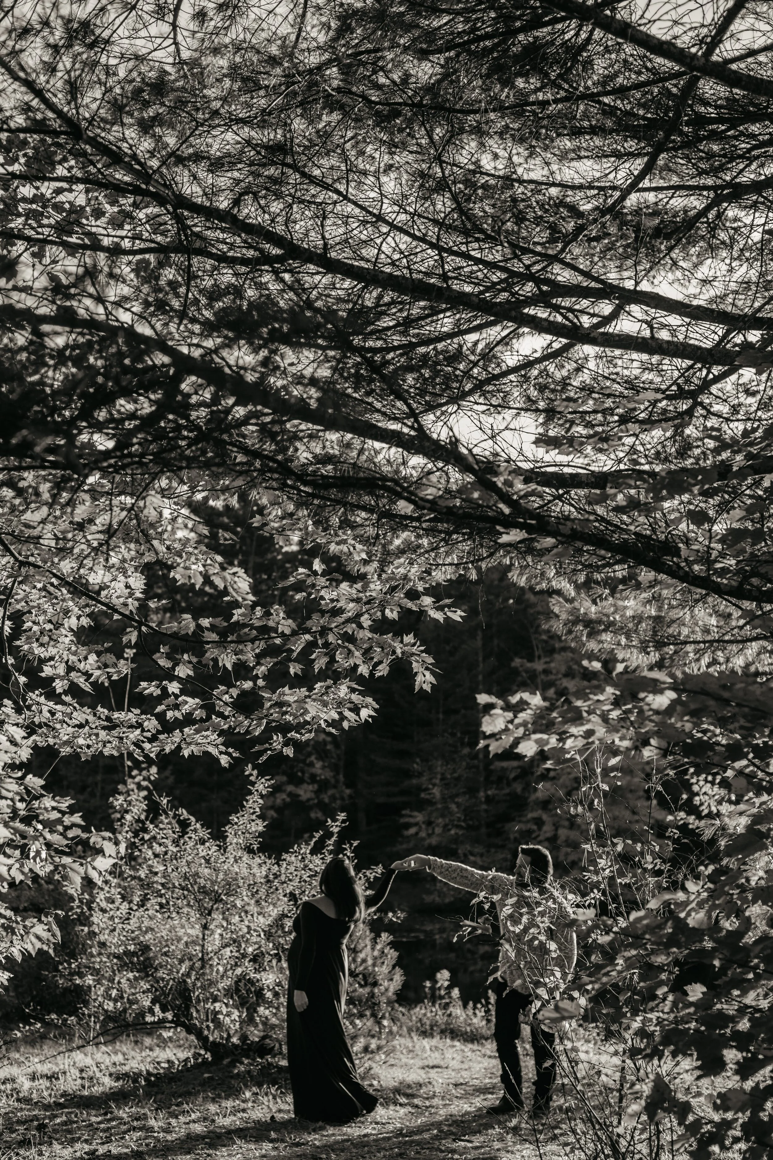 DSC_0098.jpg