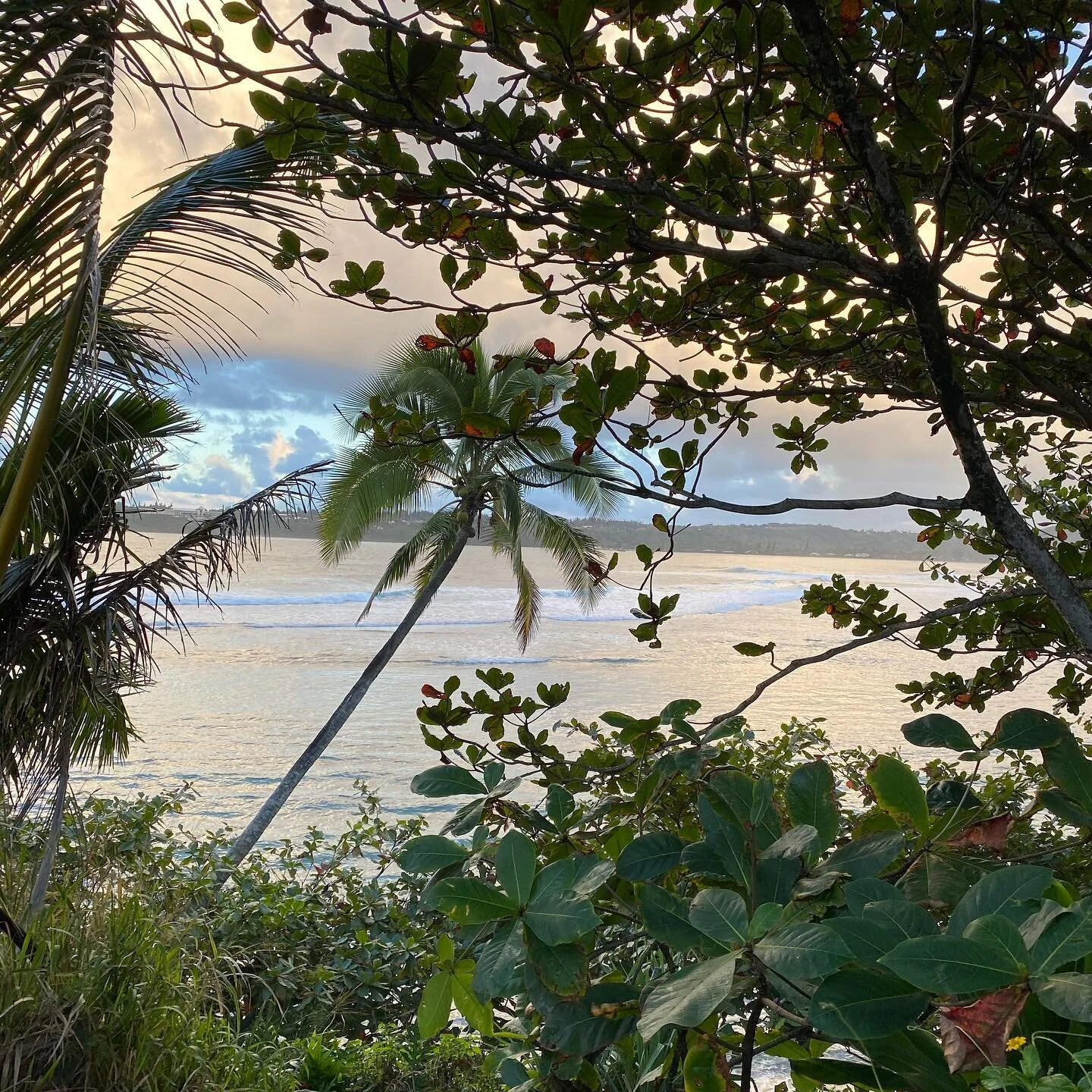 Backdoor Surf Shop Hanalei Surfboards, Apparel, and Rentals