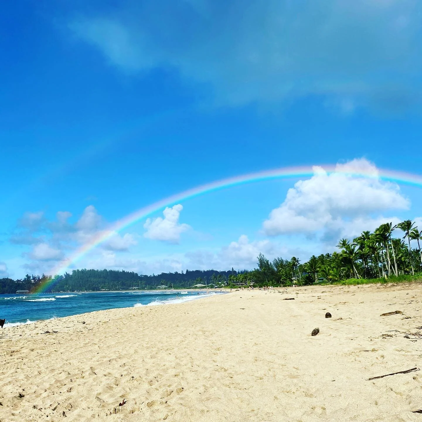 Backdoor Surf Shop Hanalei Surfboards, Apparel, and Rentals