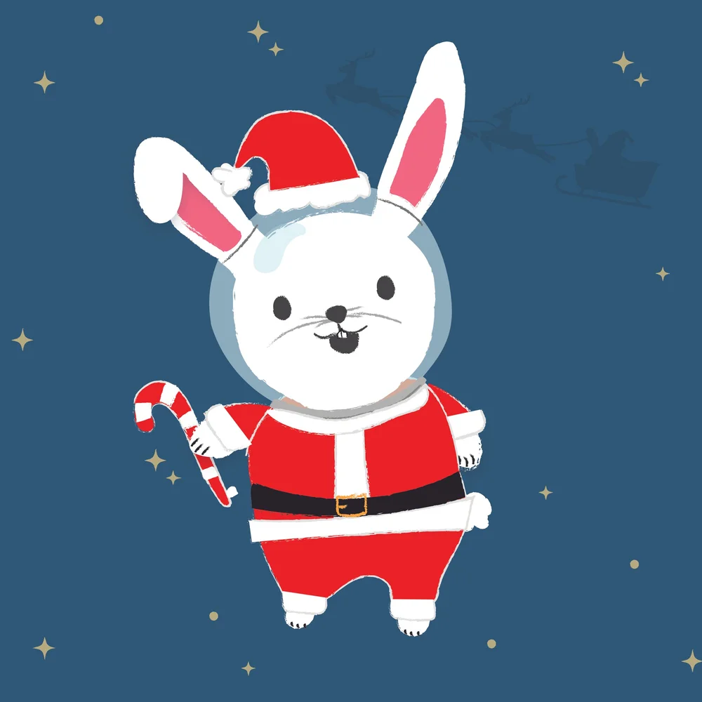 Space Rabbit Freeze Dried Icecream Vancouver — Designfulhope