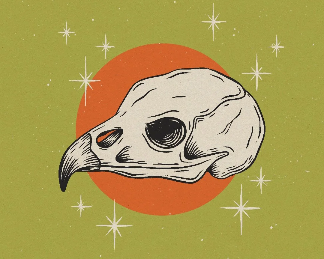 Illustration of a bird skull in front of a green background with an orange-red circle, surrounded by white stars